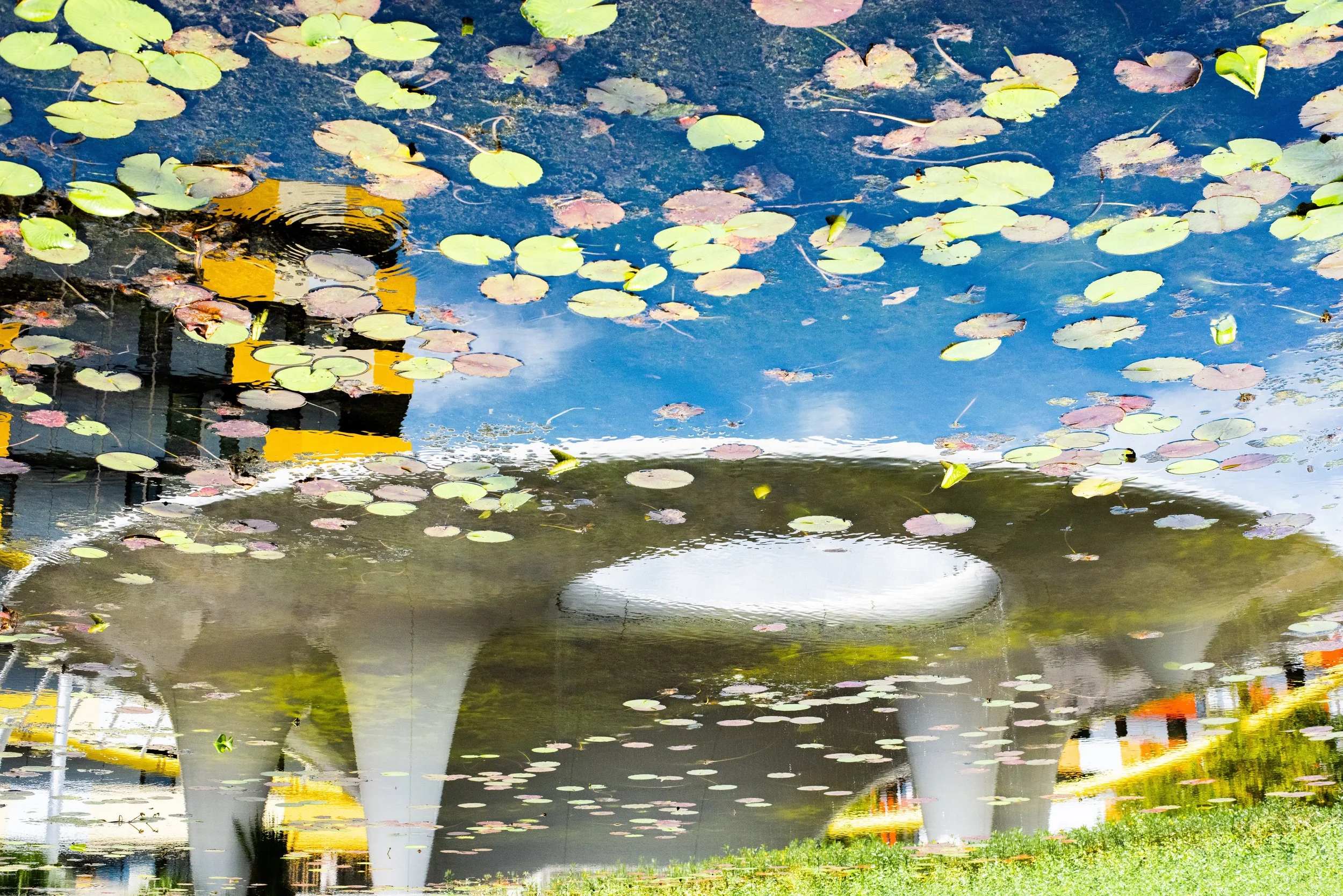 A body of water with many floating lily pads, reflections of a yellow building, a blue sky, some trees, and a part of a grey bridge.