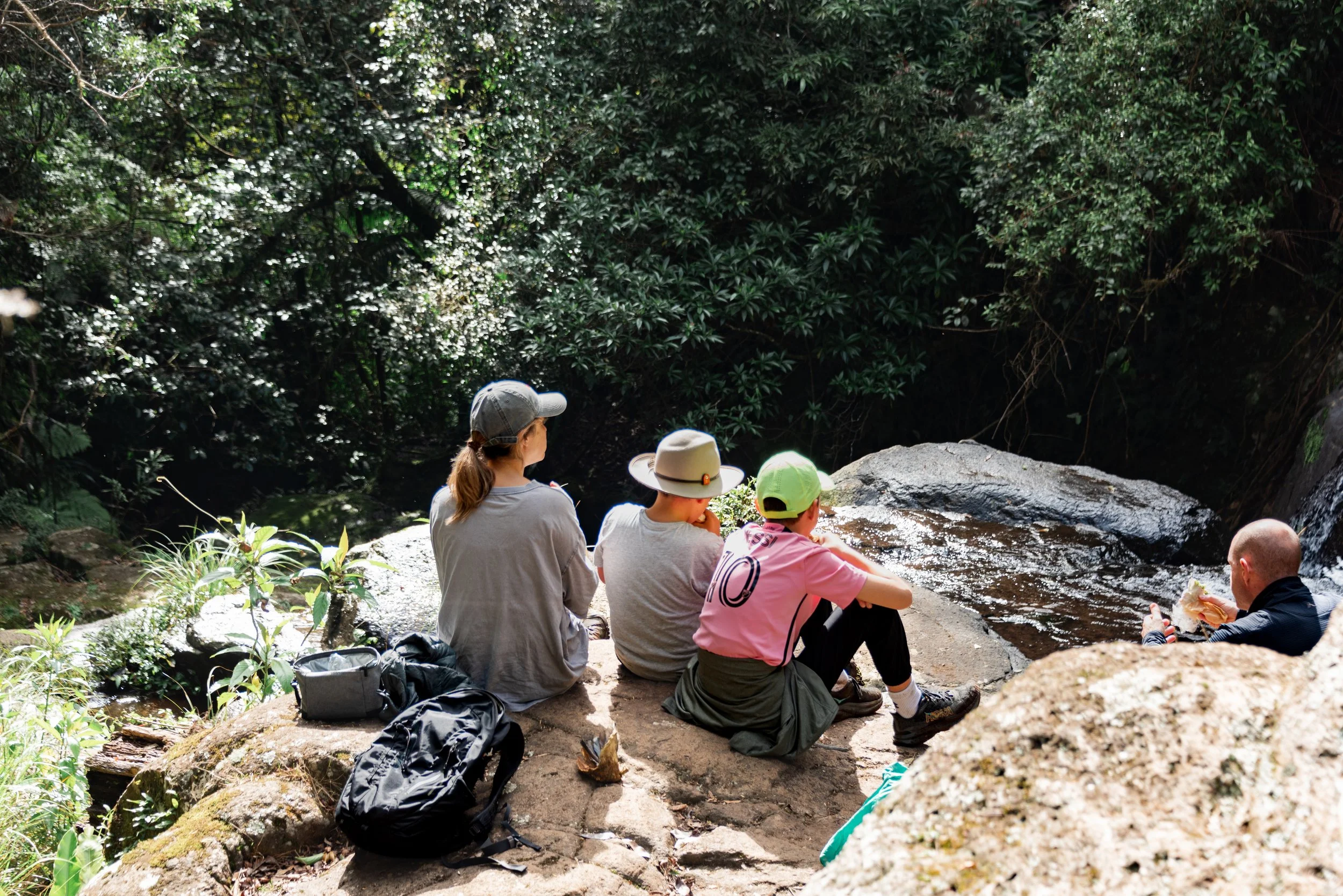 Group of people sitting on rocks near a small stream in a lush, green forest.