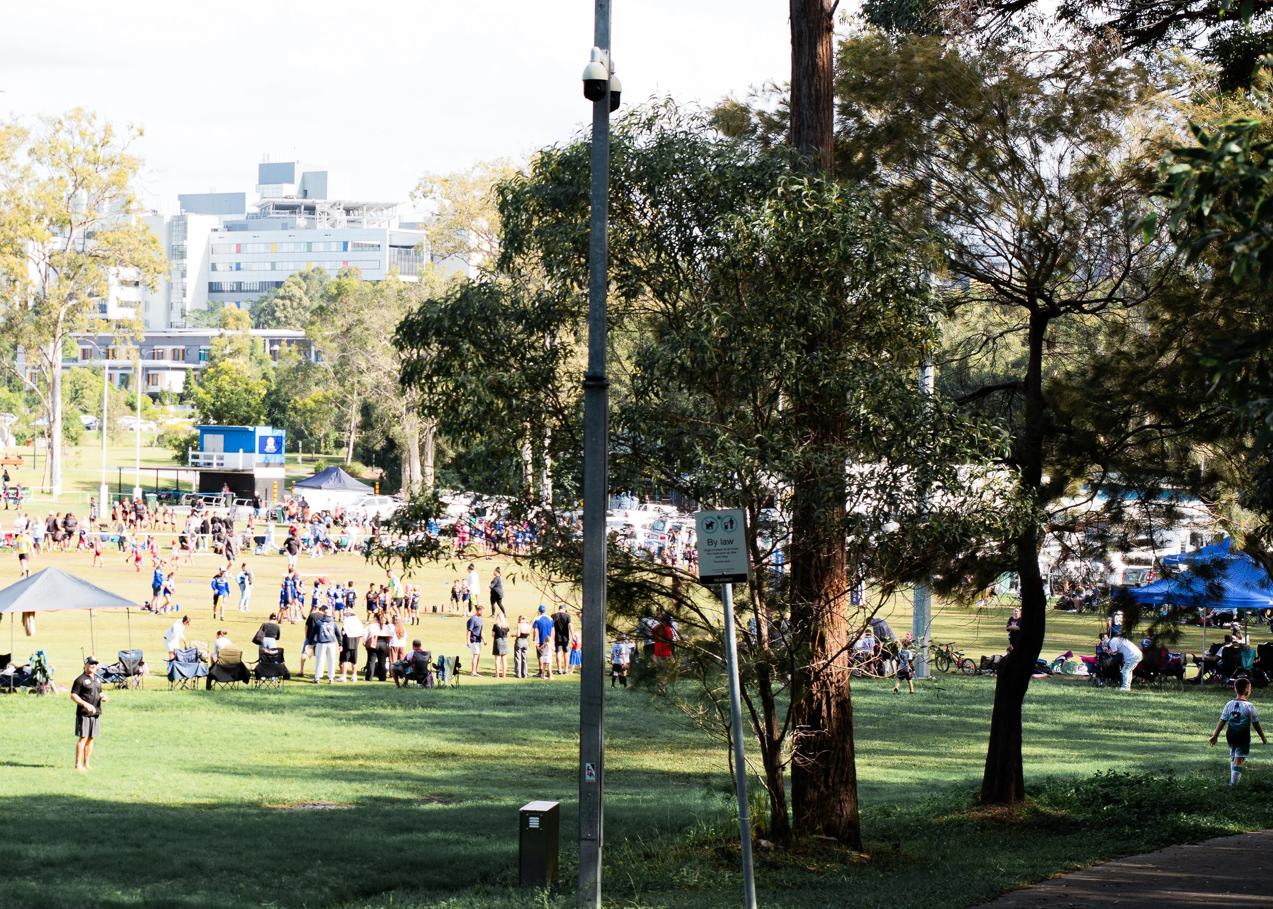 A park filled with people, some sitting on chairs and others walking, with a track and a group of runners in blue in the background. There are trees indicating a sunny day in an urban area with buildings visible in the distance.