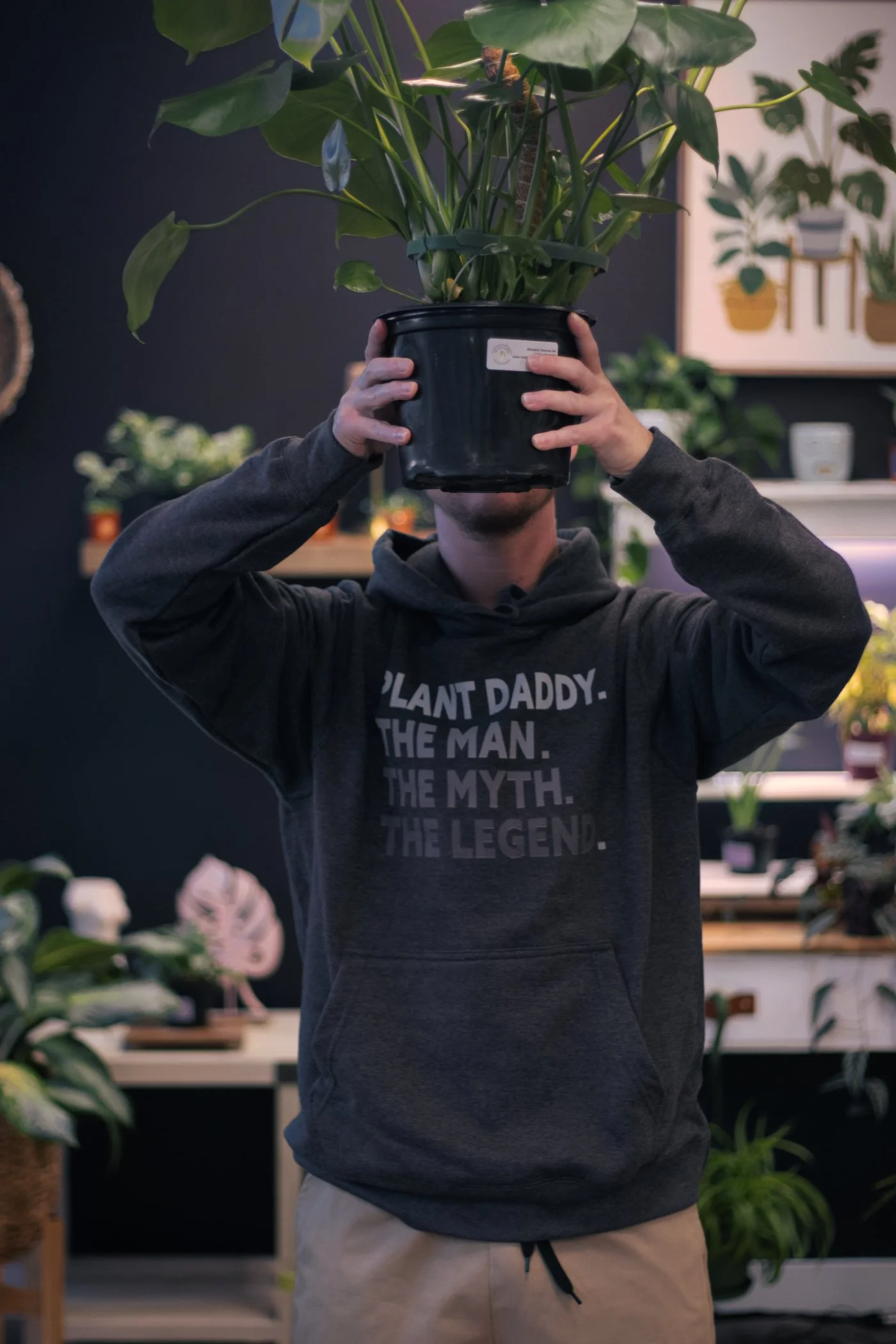 Person holding a large potted plant with big green leaves indoors, with plants and art on the wall in the background.
