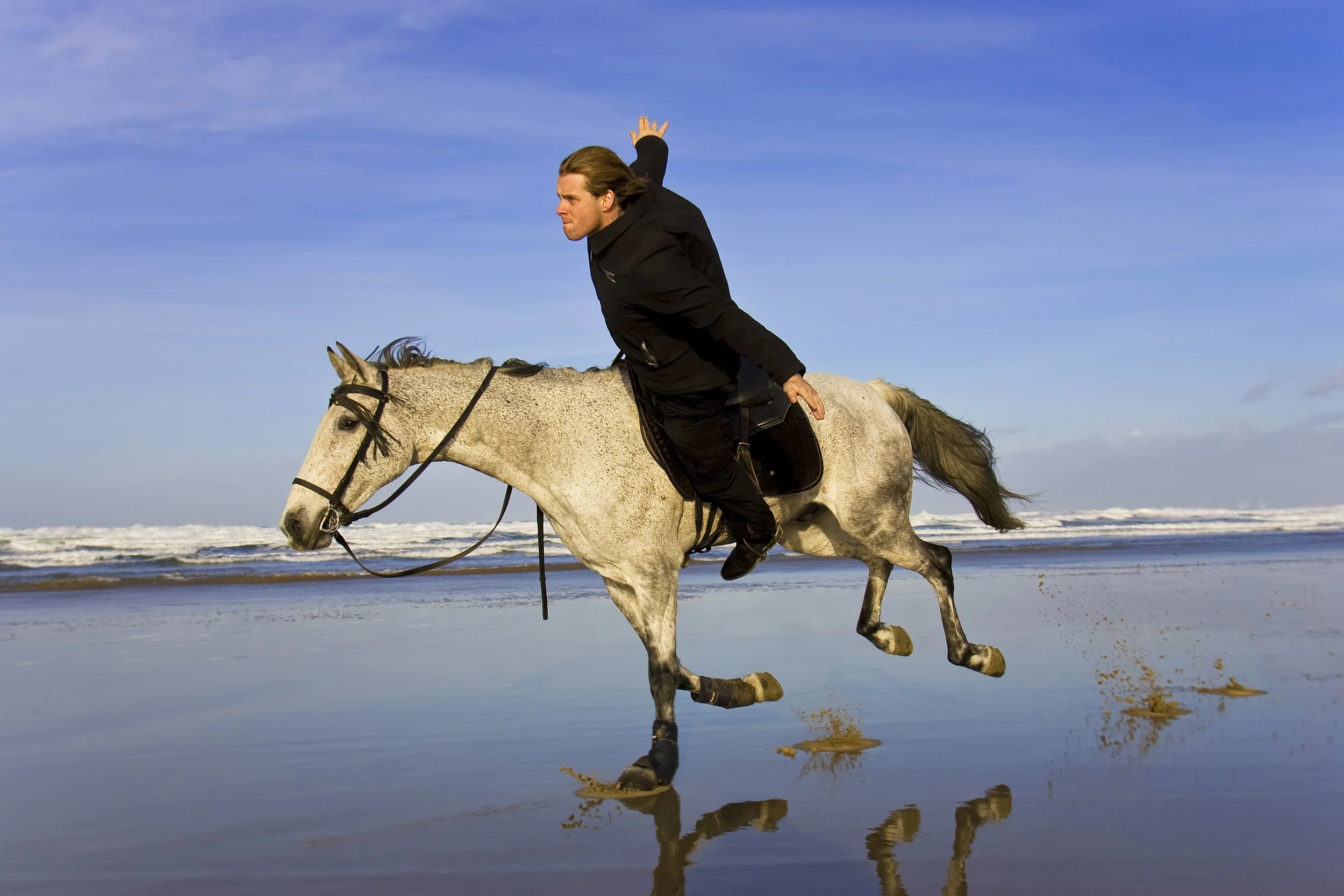 A man riding a white horse galloping along the beach with the ocean and blue sky in the background.