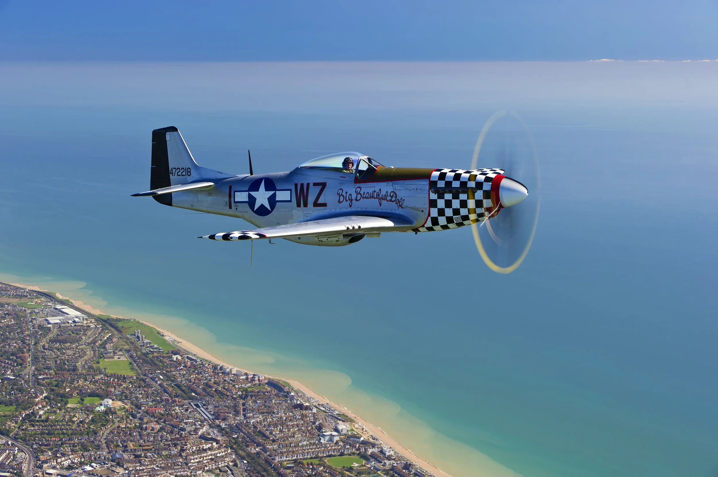 War Birds!.jpg