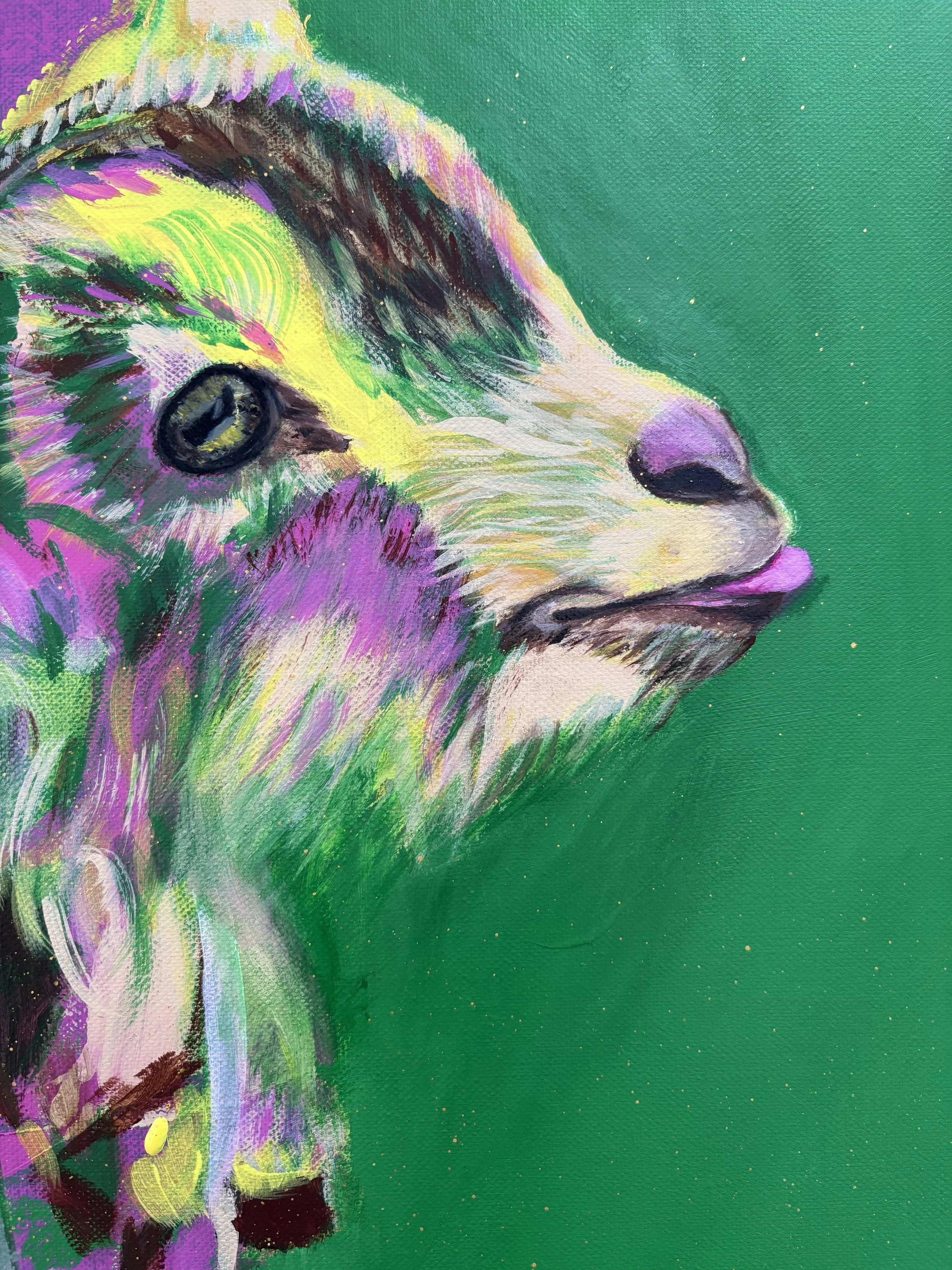 Baby Goat  D.jpeg