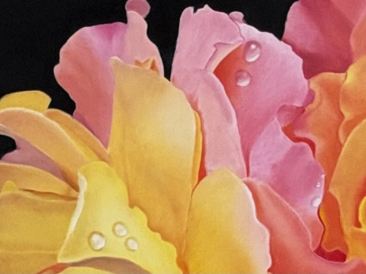 Roses D3.jpeg