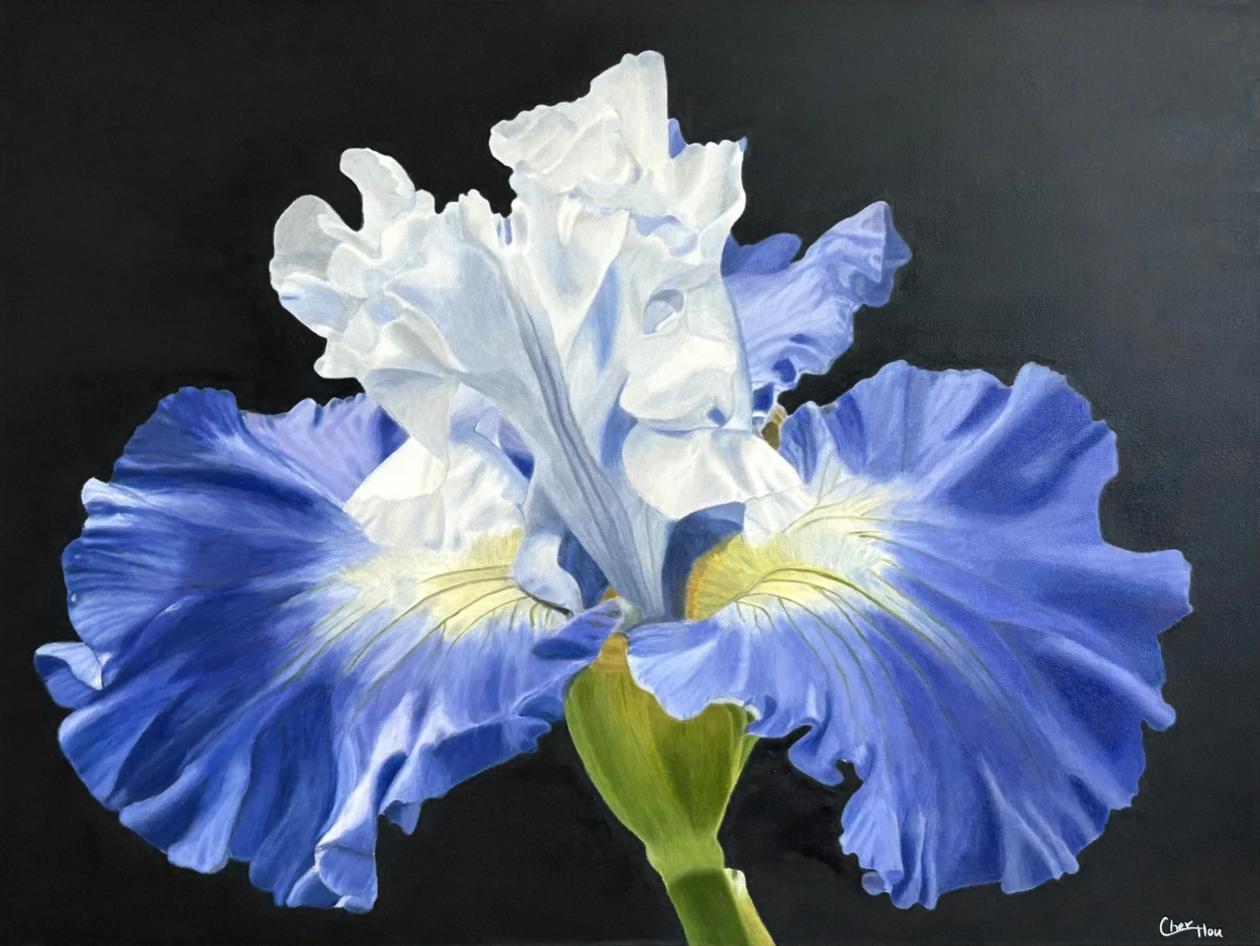 Grace in Bloom