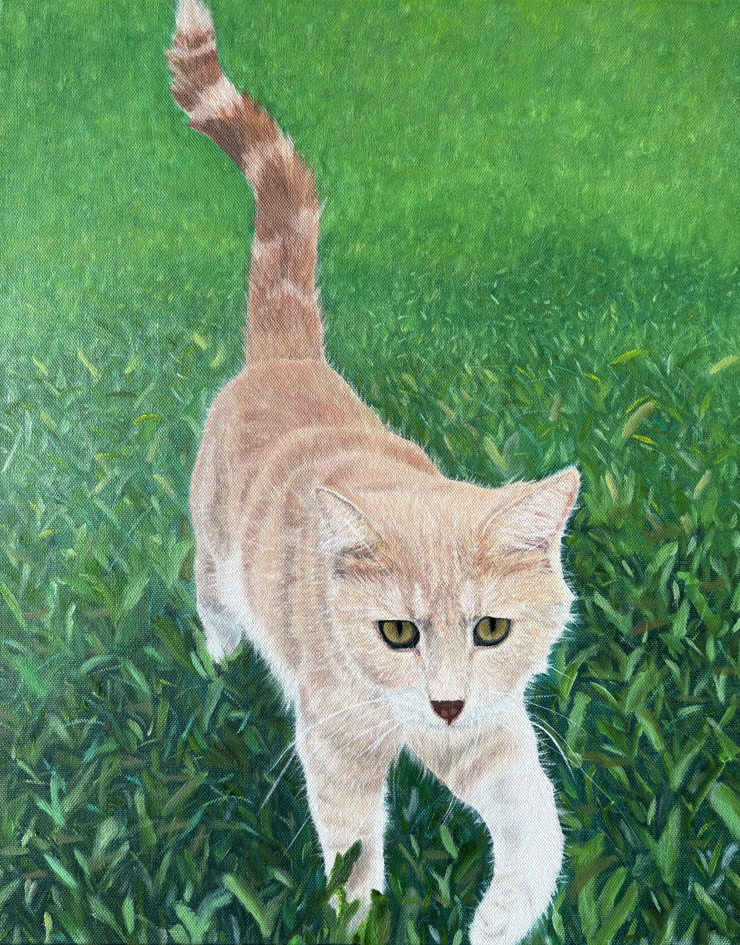 Cat Portrait- SOLD