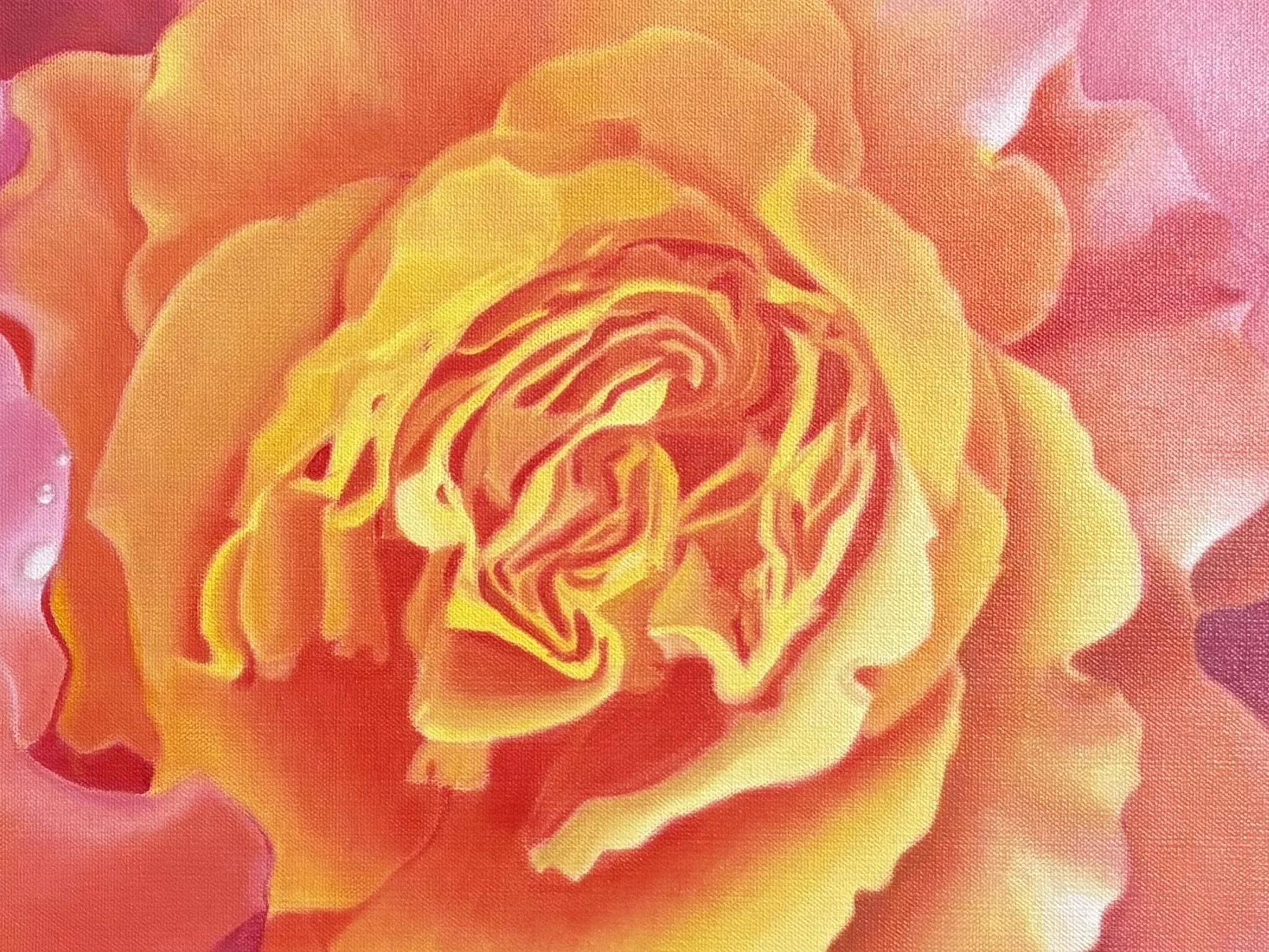 Roses D2.jpeg