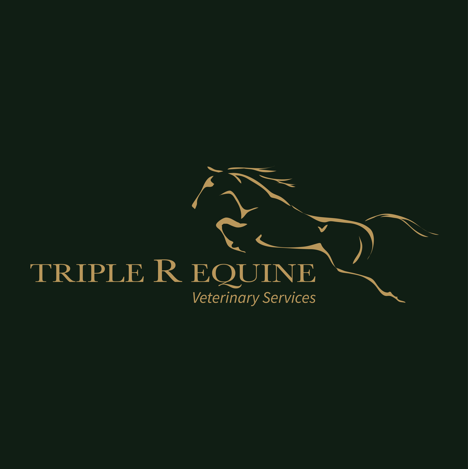 Triple R Equine Veterinary Services