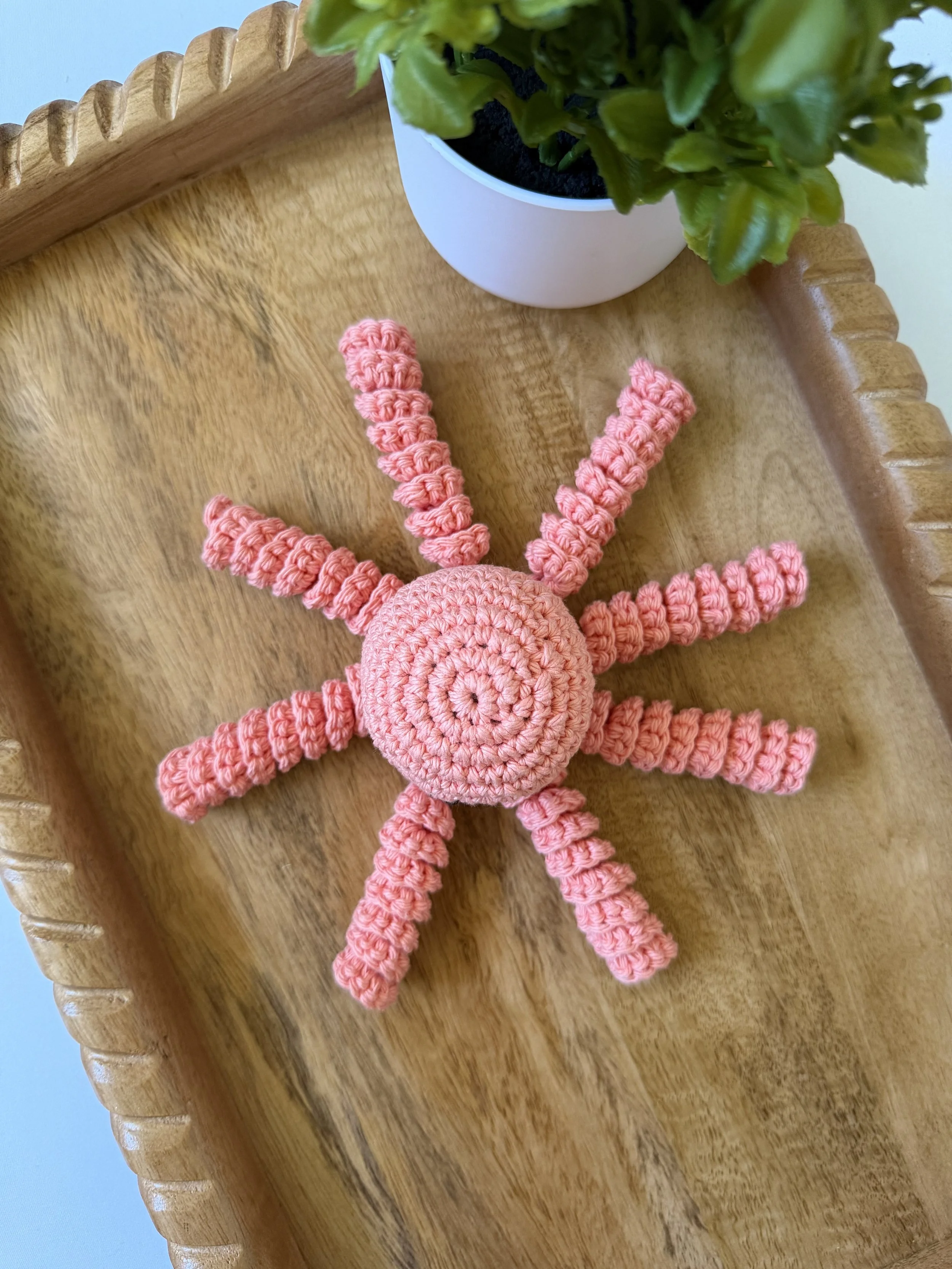 CoralOcto3.jpg