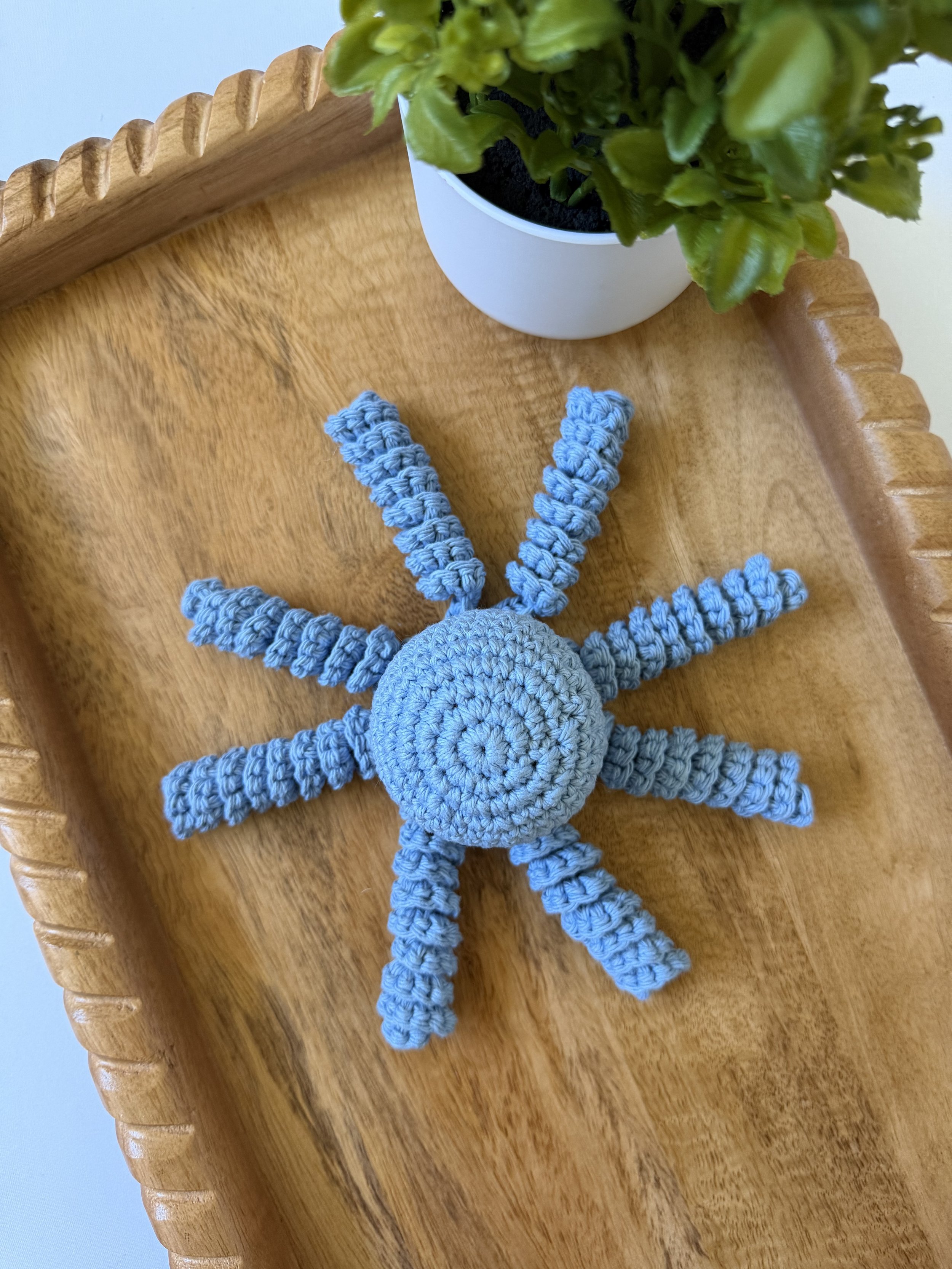 BabyBlueOcto3.jpg