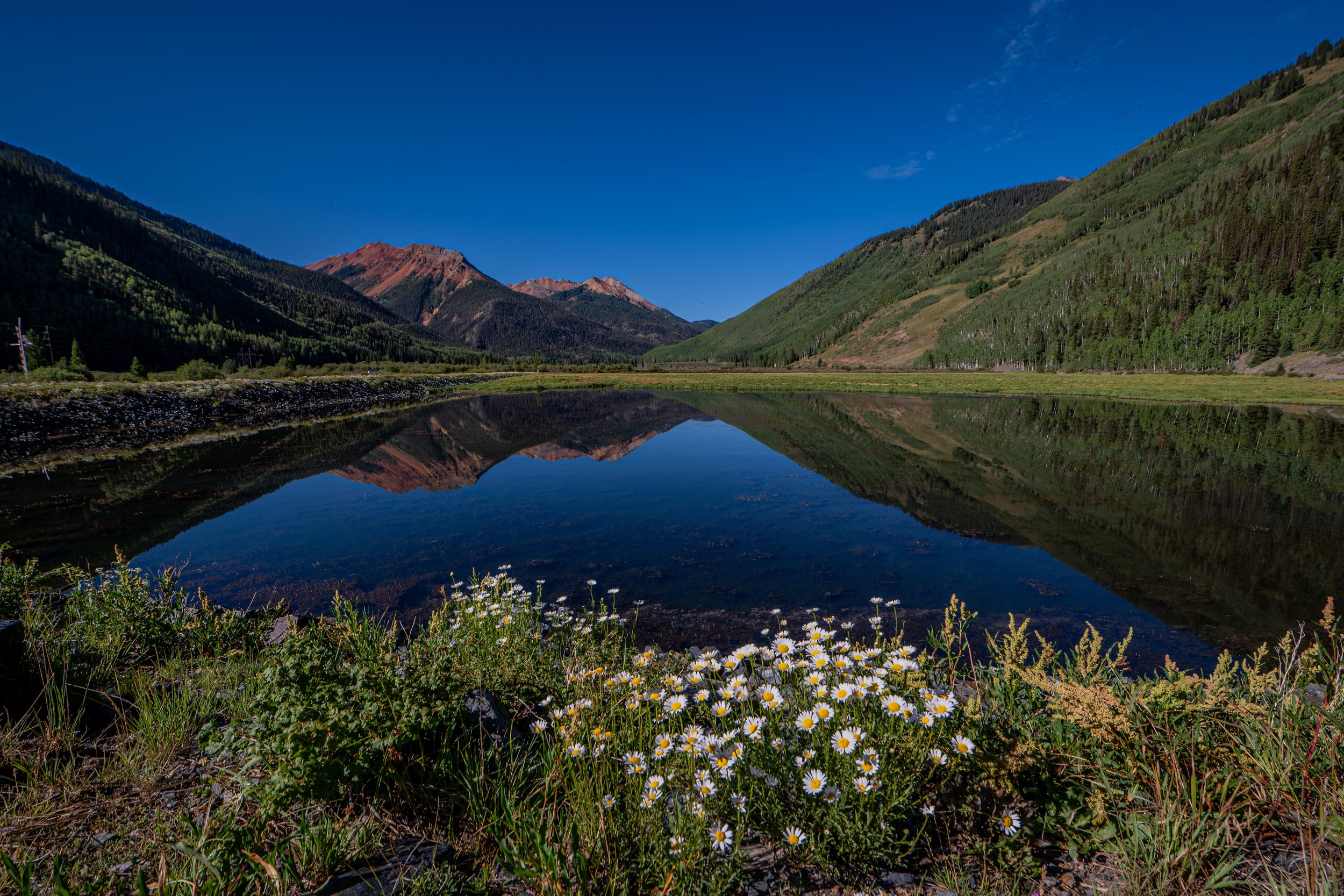 A peaceful mountain landscape featuring snow-capped peaks, green forested slopes, a clear blue sky, and a calm reflective body of water in the foreground, with wildflowers along the shore.