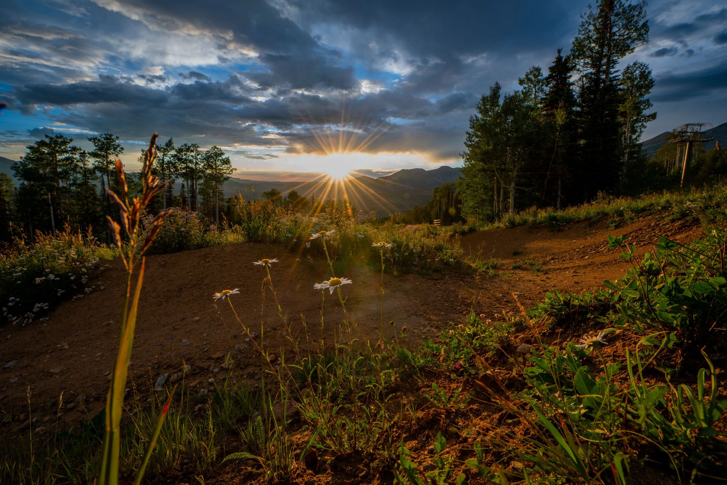 A landscape scene during sunset with sun rays piercing through clouds over a valley with hills, trees, and wildflowers on the ground.