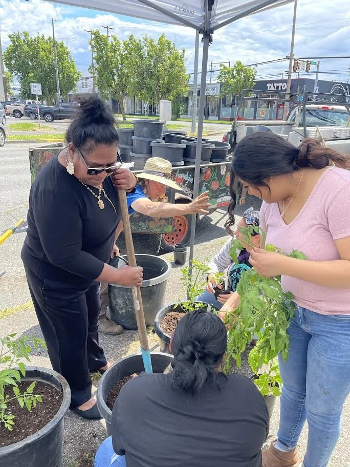 Community gardeners planting vegetables in large pots at an outdoor urban garden stand