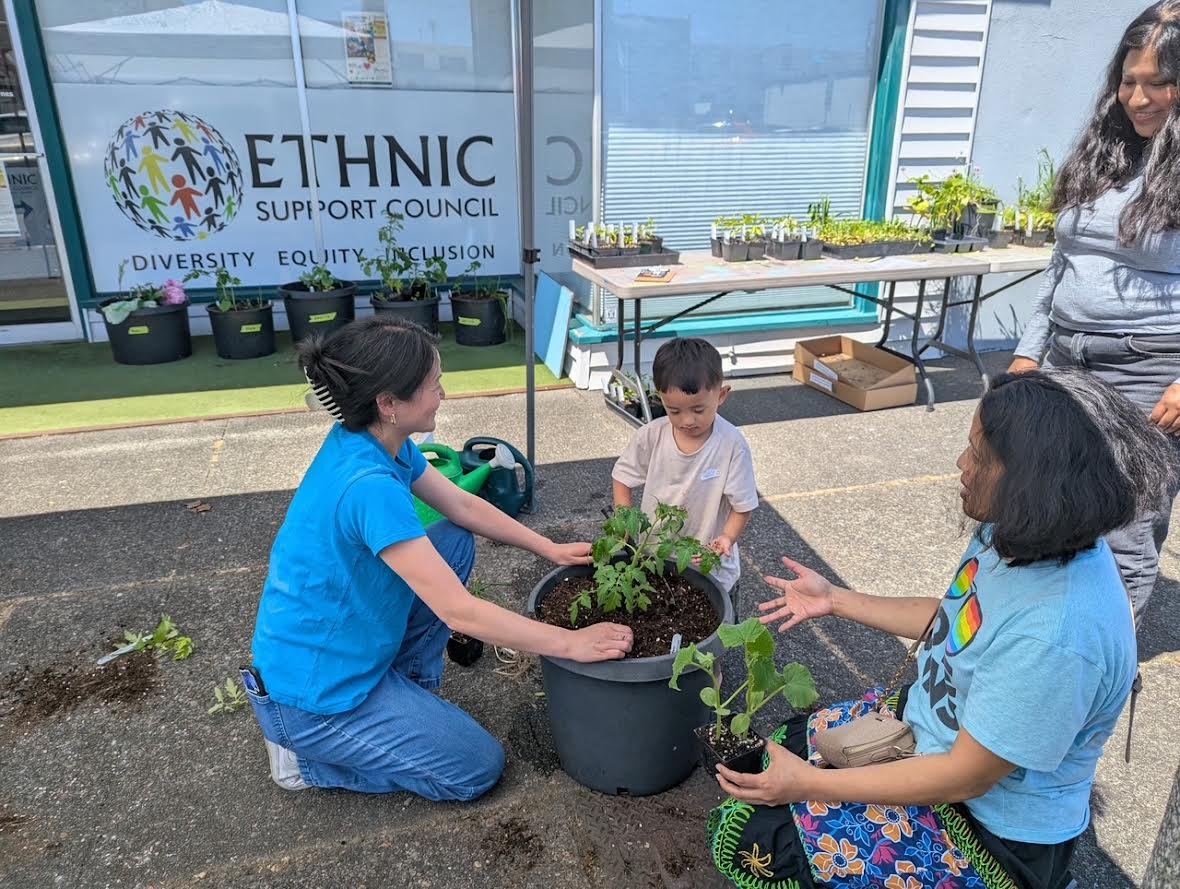 Adults and child planting vegetables in pots outside the Ethnic Support Council building
