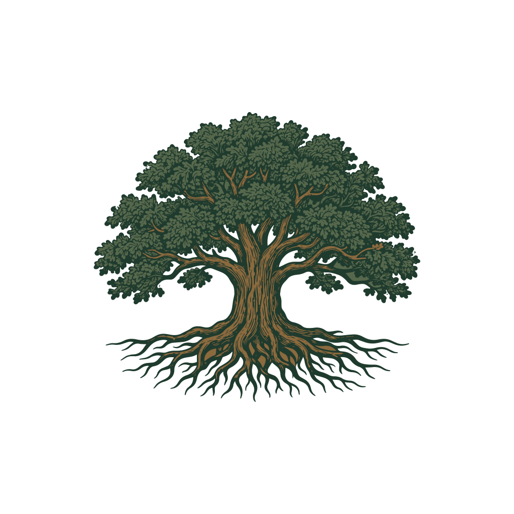 A detailed oak tree with many roots.