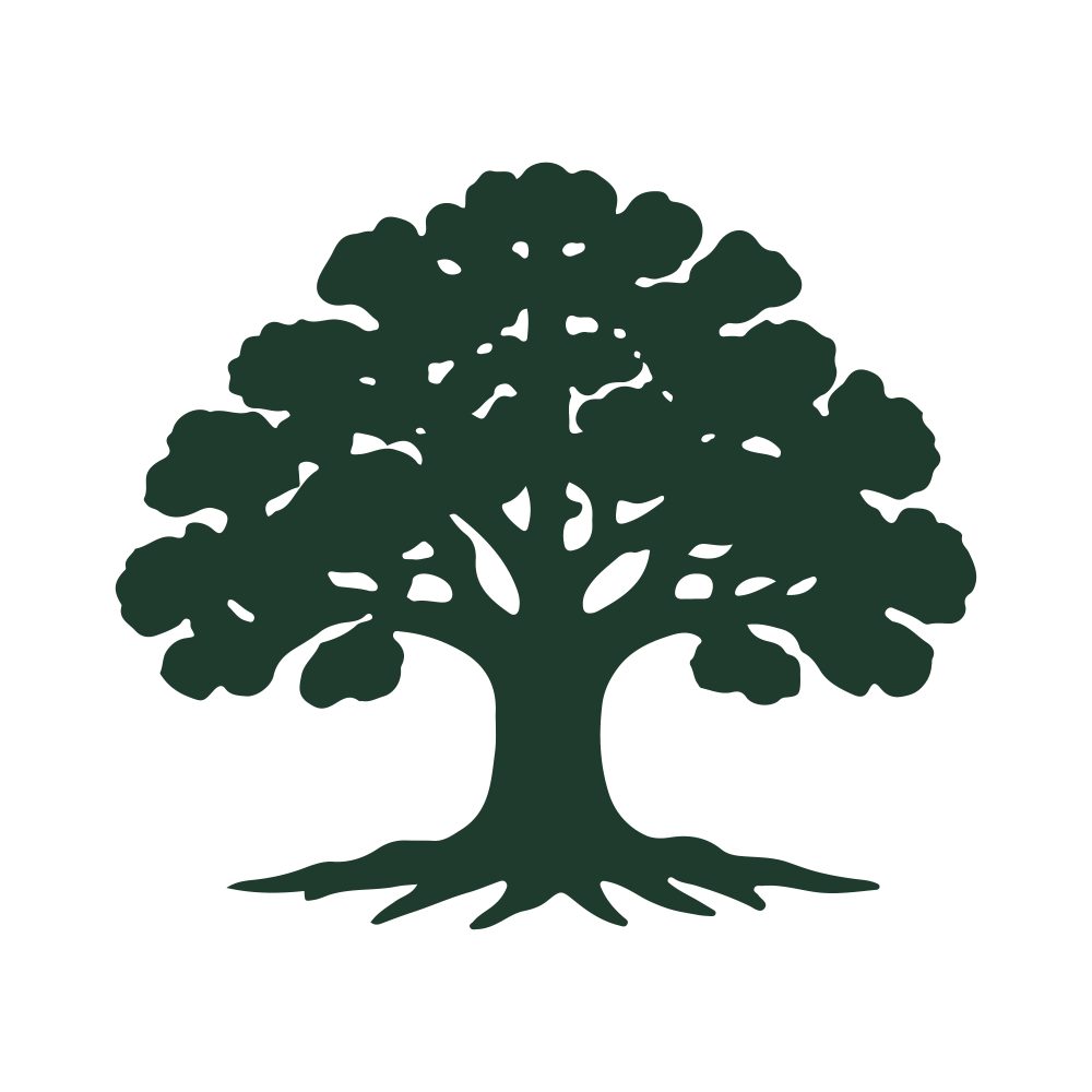 A simple oak tree shaded green with roots.