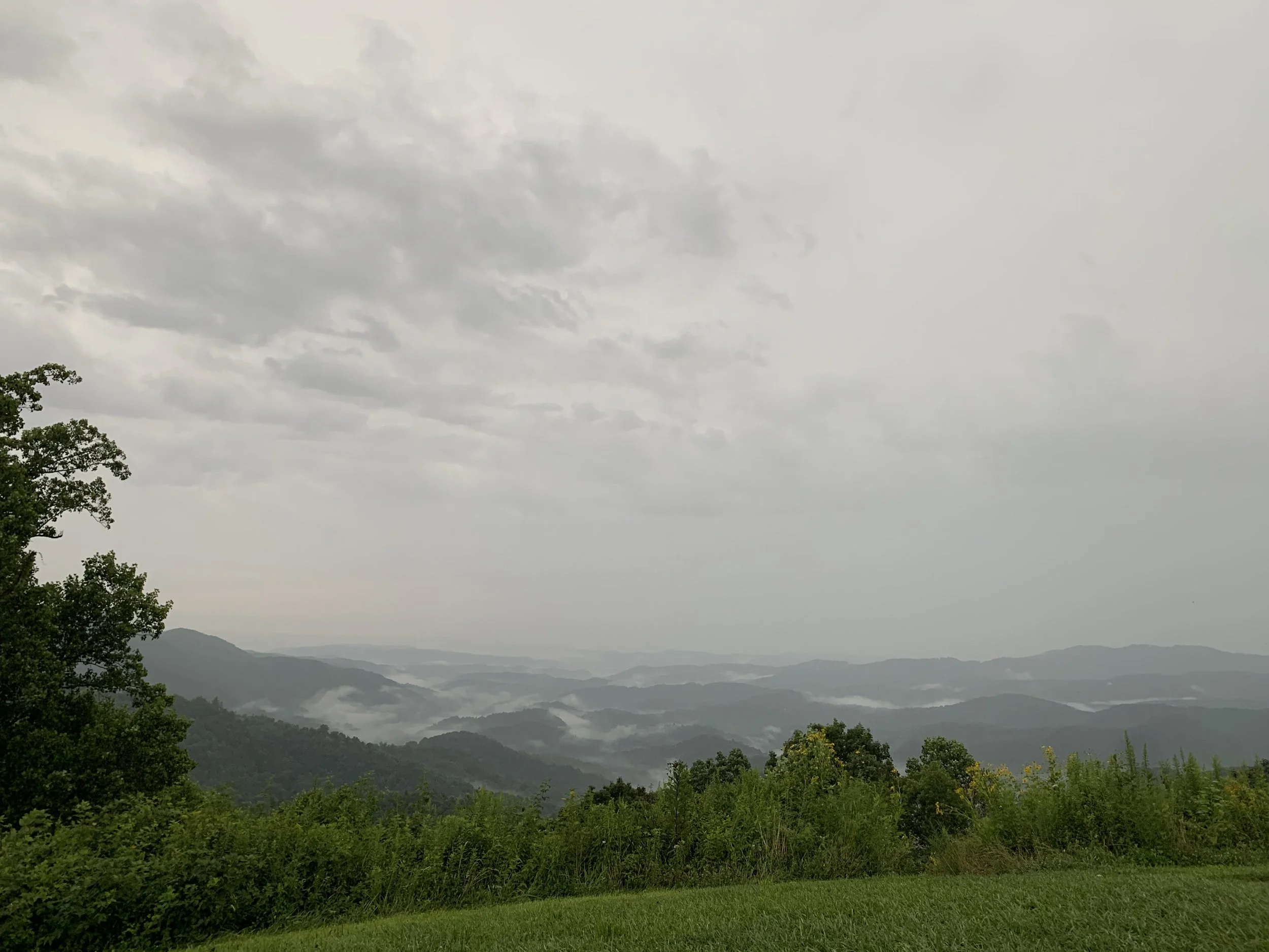Landscape view of foggy green mountains with cloudy sky and lush trees in the foreground.