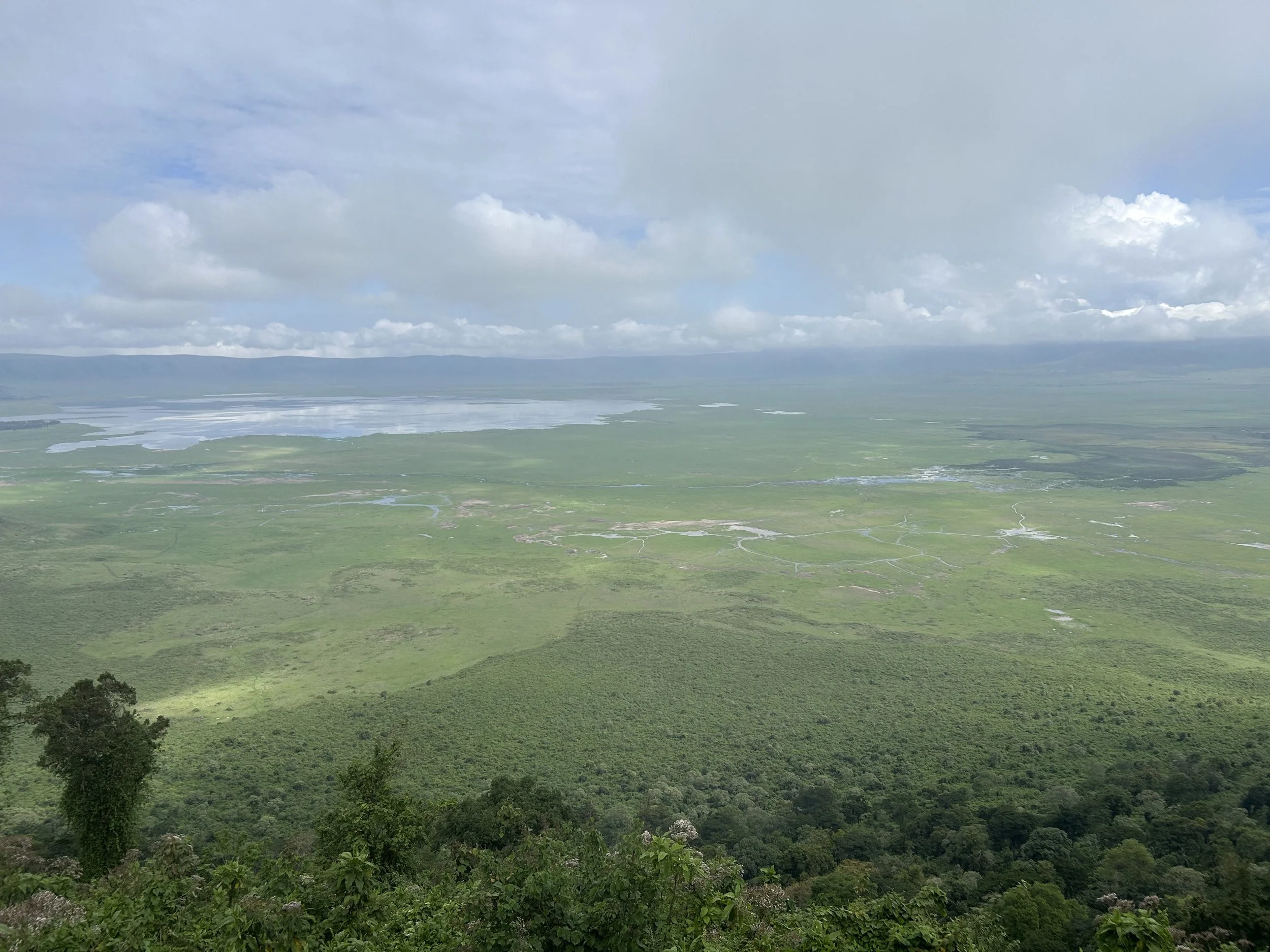 Open landscape with lush green forests in the foreground, a large plain in the middle, and a body of water reflecting the sky. Mountain range in the distance under a partly cloudy sky.