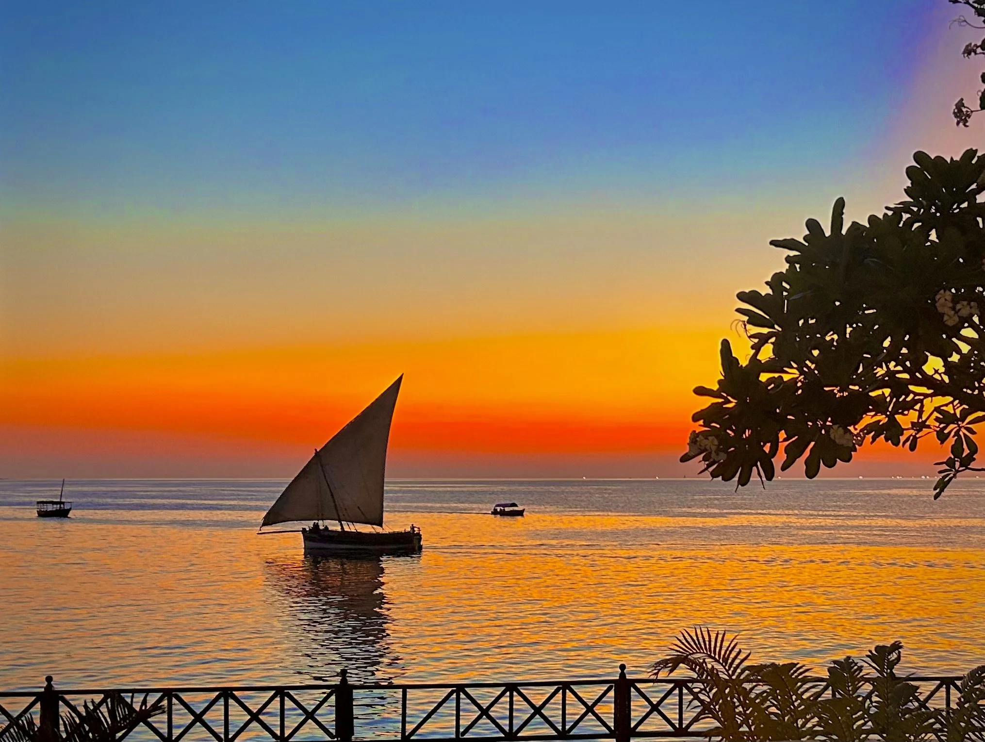 Sunset over a calm ocean with two sailboats, one with a triangular sail, and a boat in the distance. Foreground includes silhouetted plants and a wooden railing.