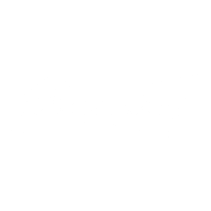 Budweiser