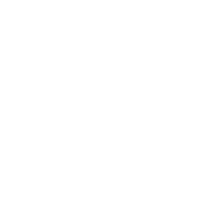 Who What Wear