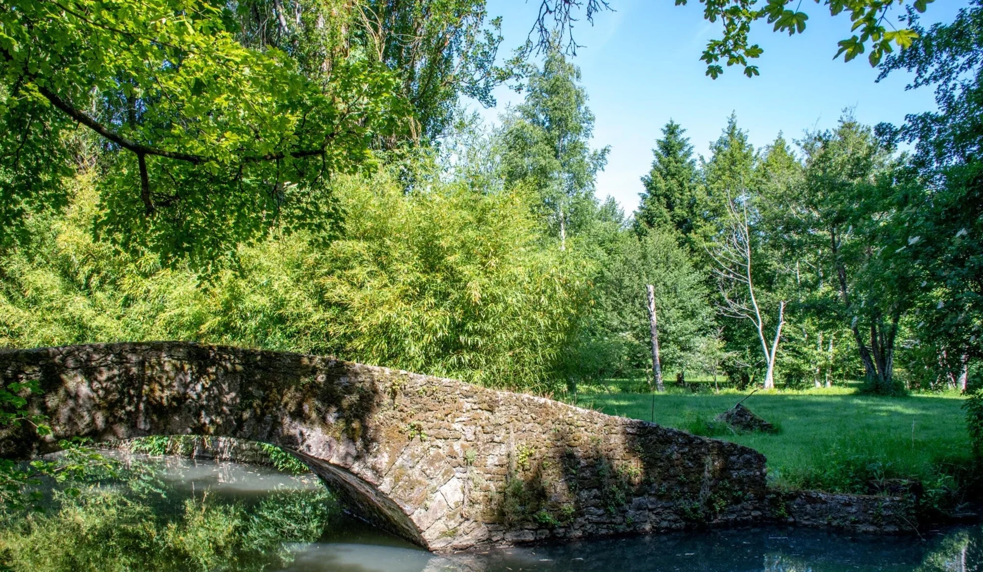 pont-04.webp