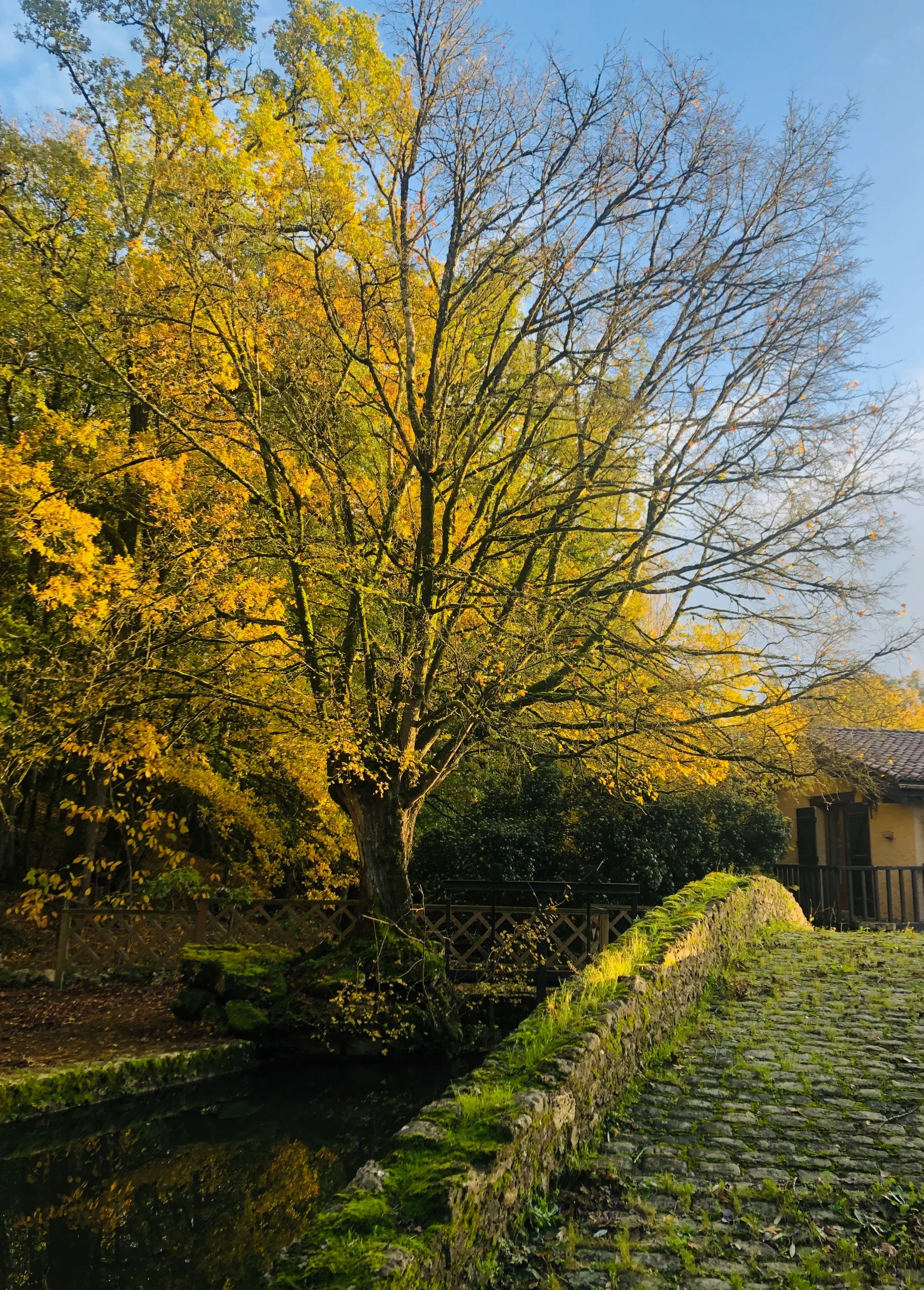 pont-03.webp