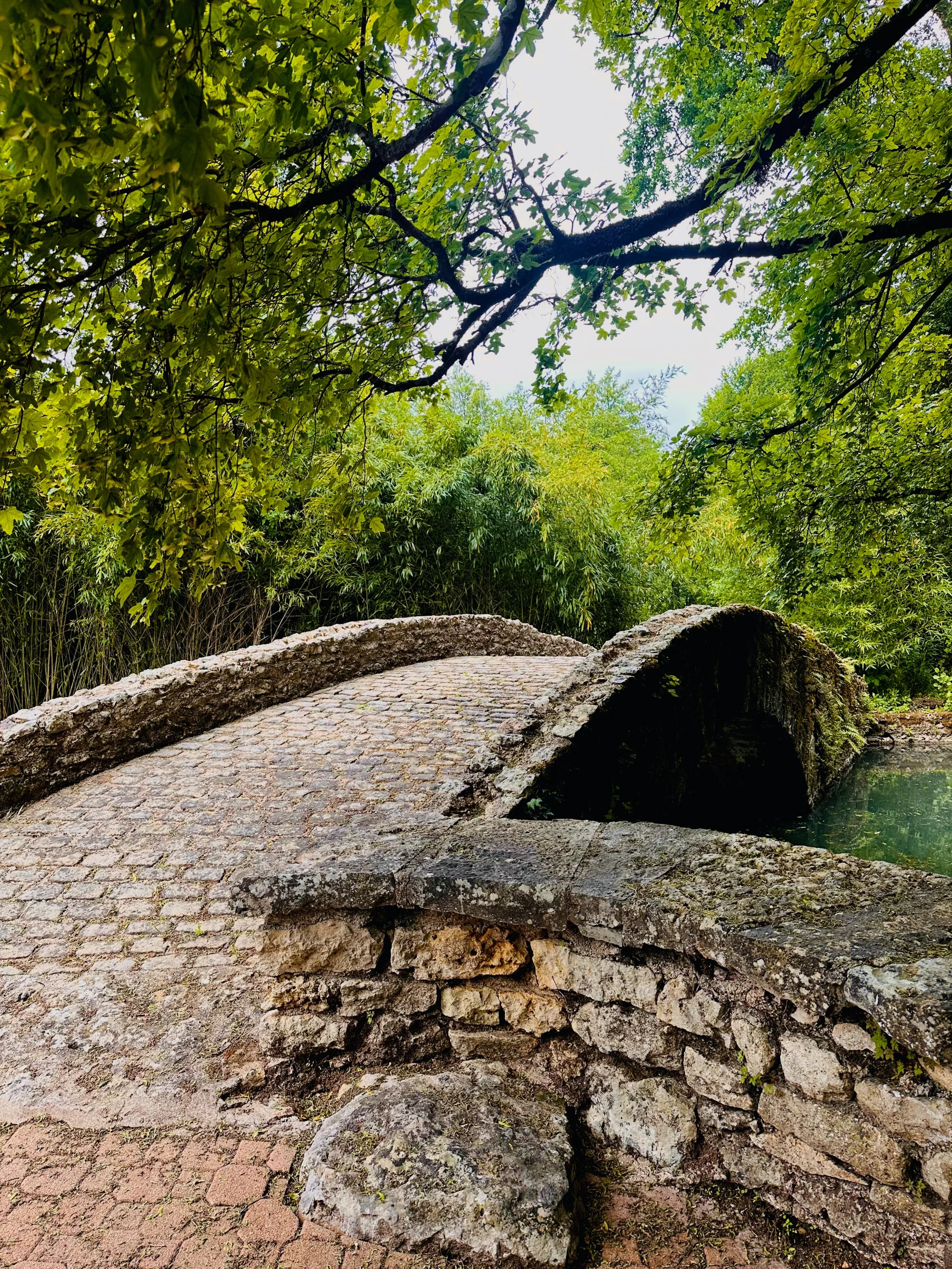 pont-02.webp