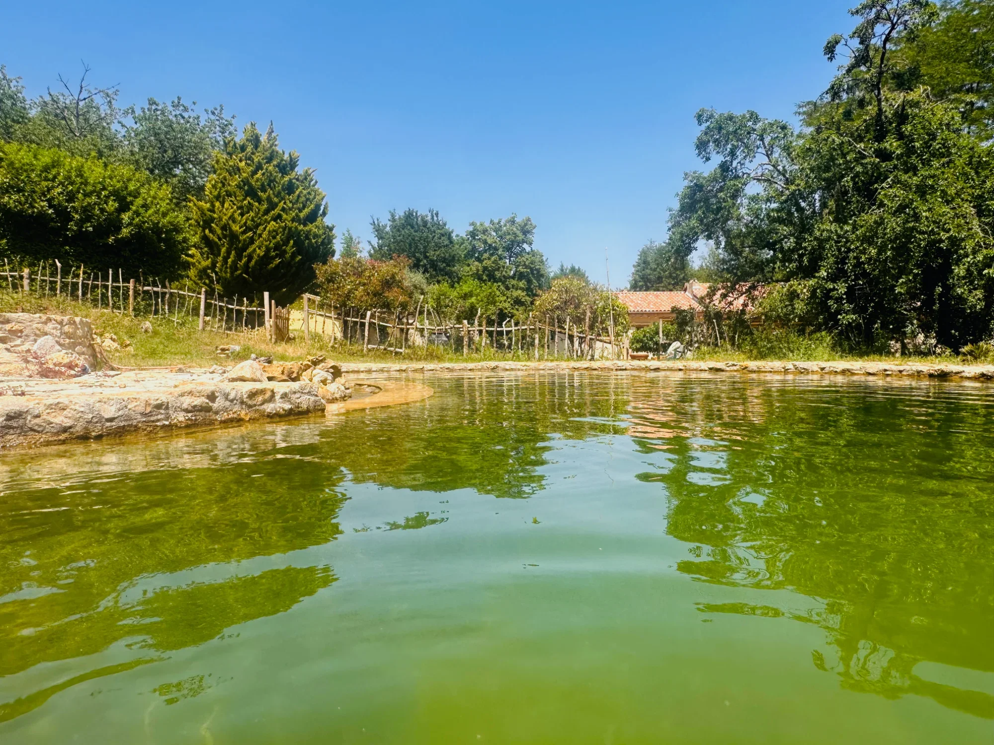 piscine-05.webp