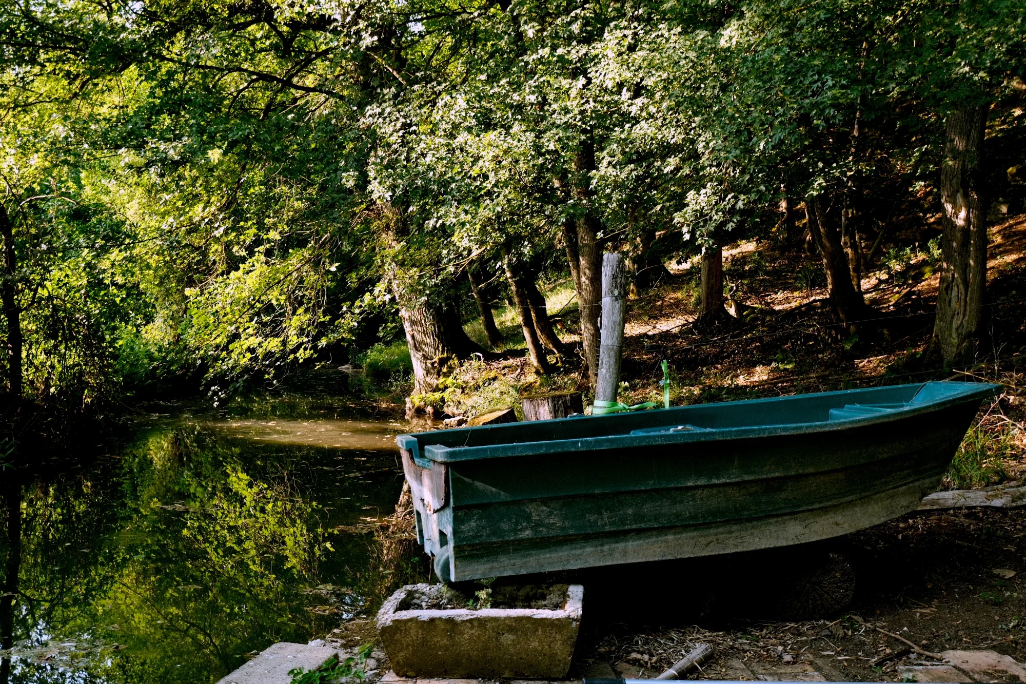 Une barque en bois noire dans un cours d'eau entouré d'arbres verts.