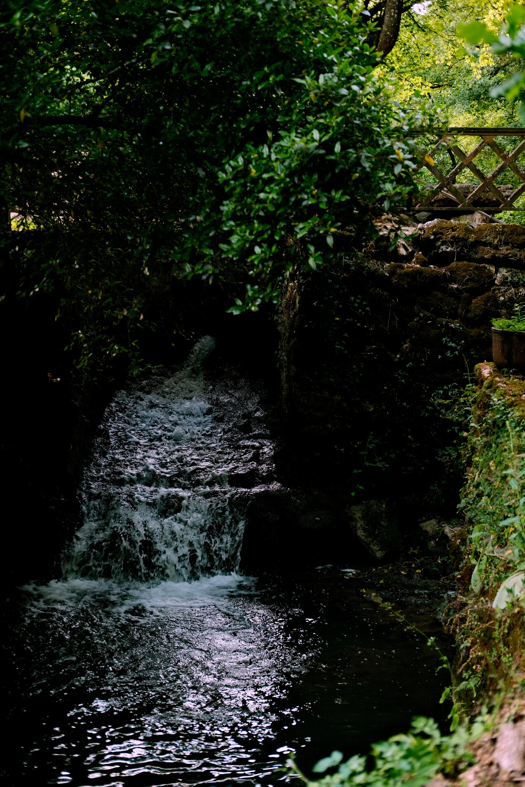 La cascade aux libellules