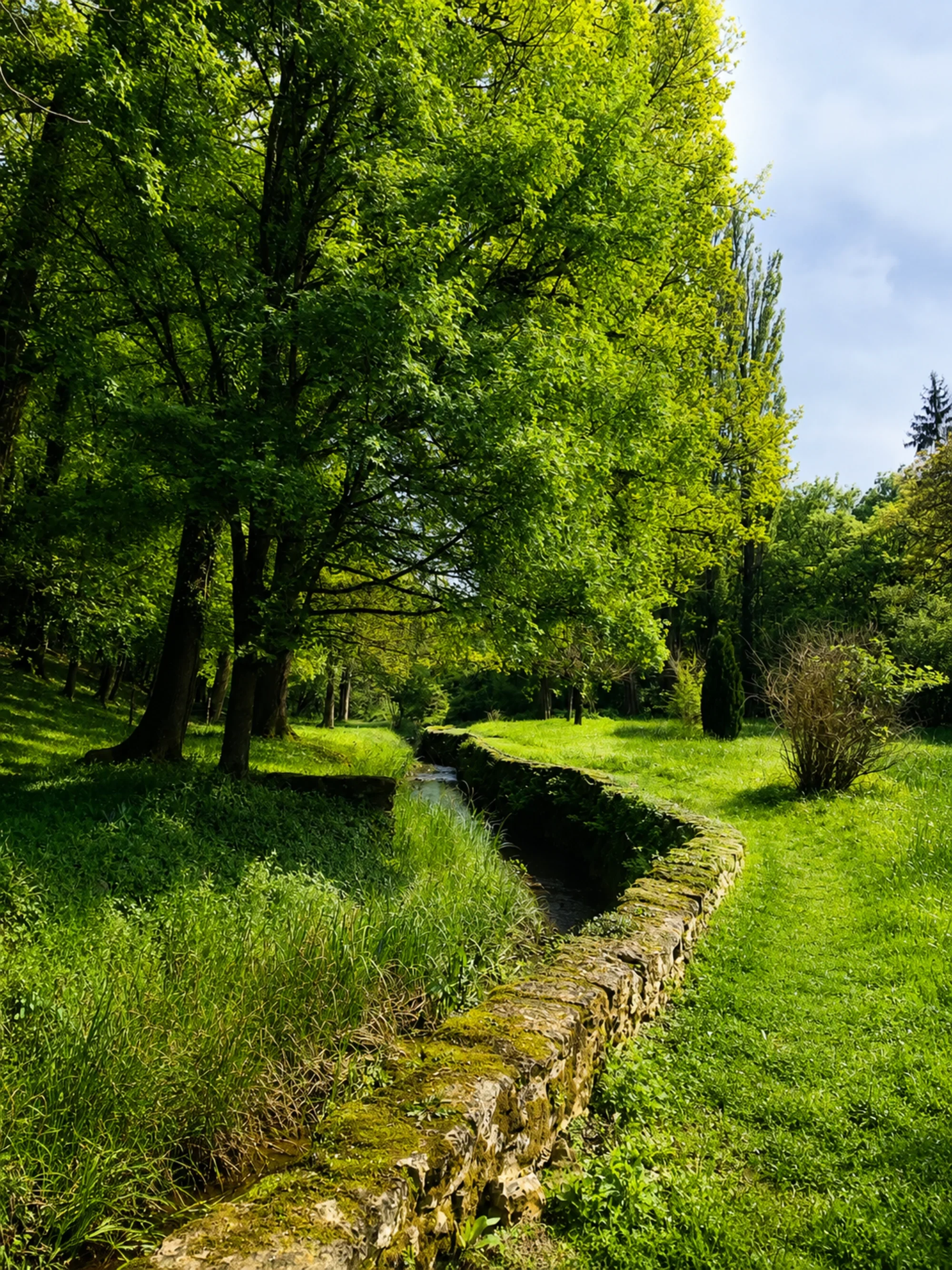 forêt cathédrale-01.webp
