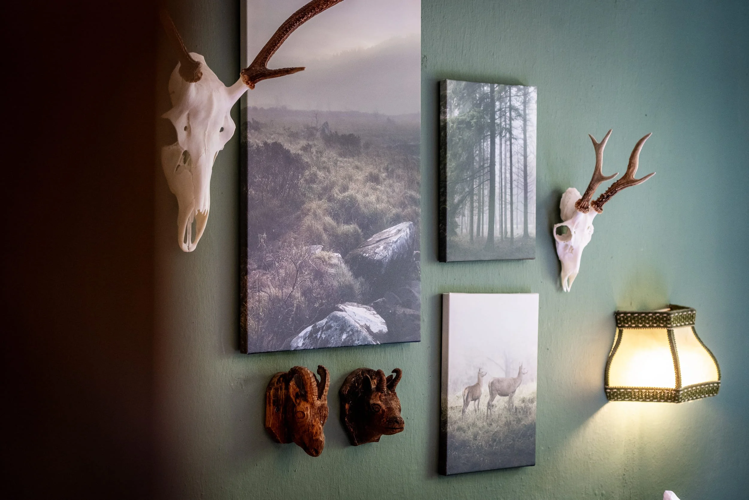 tenne_zimmer_20260810_06_jagd.jpg
