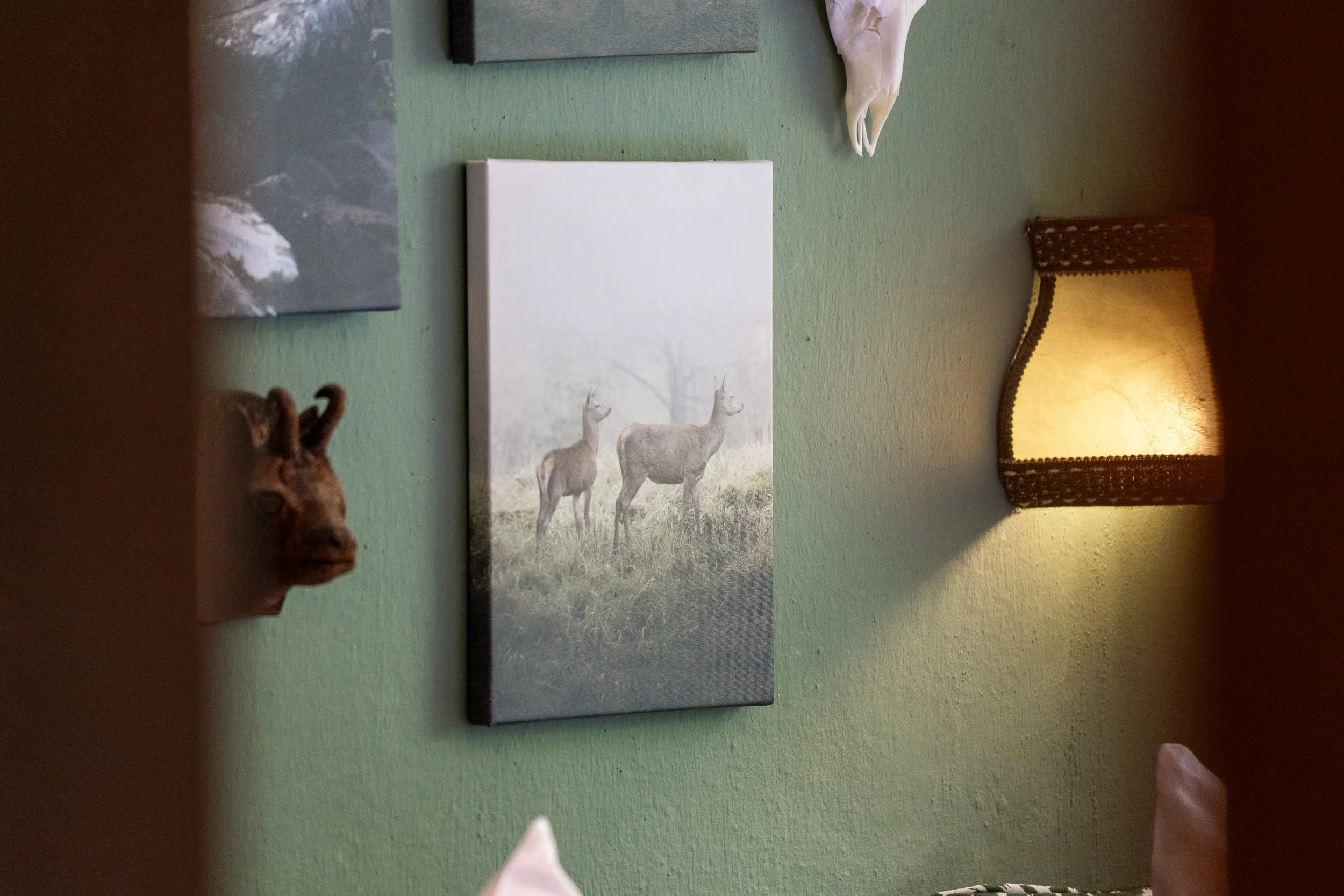tenne_zimmer_20260810_08_jagd.jpg