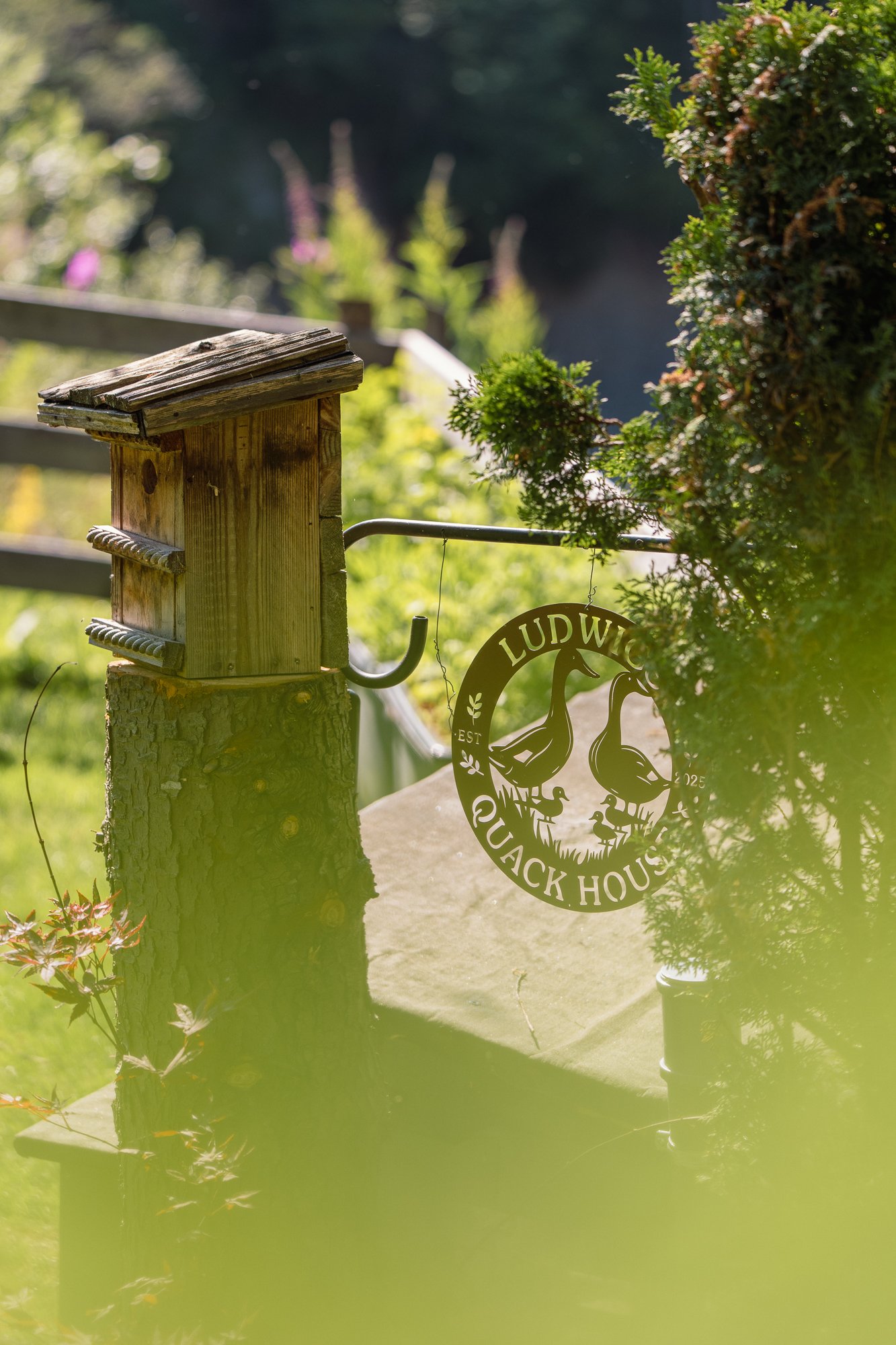 tenne_haus&garten_20260622_14_web.jpg