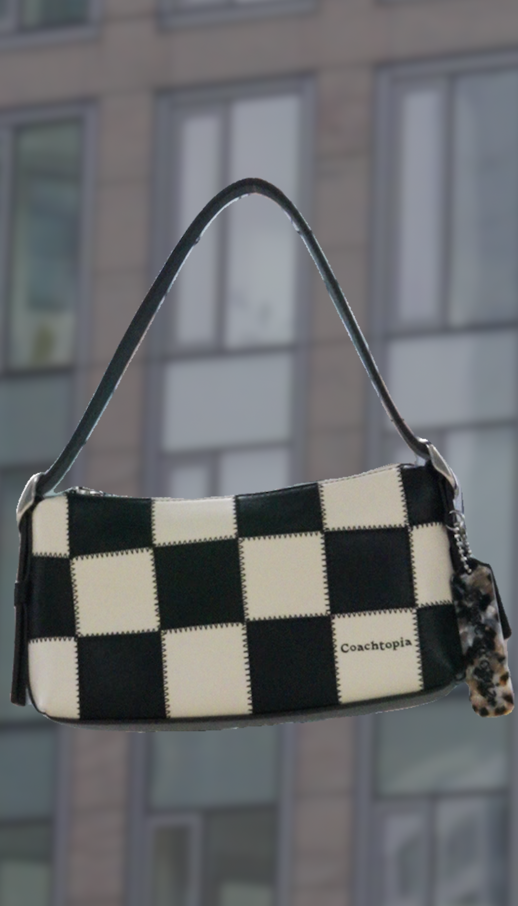 Coachtopia Campaign