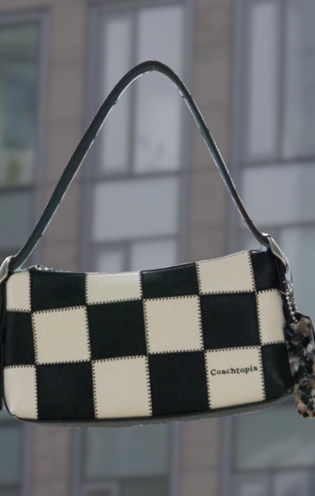 Coachtopia Campaign