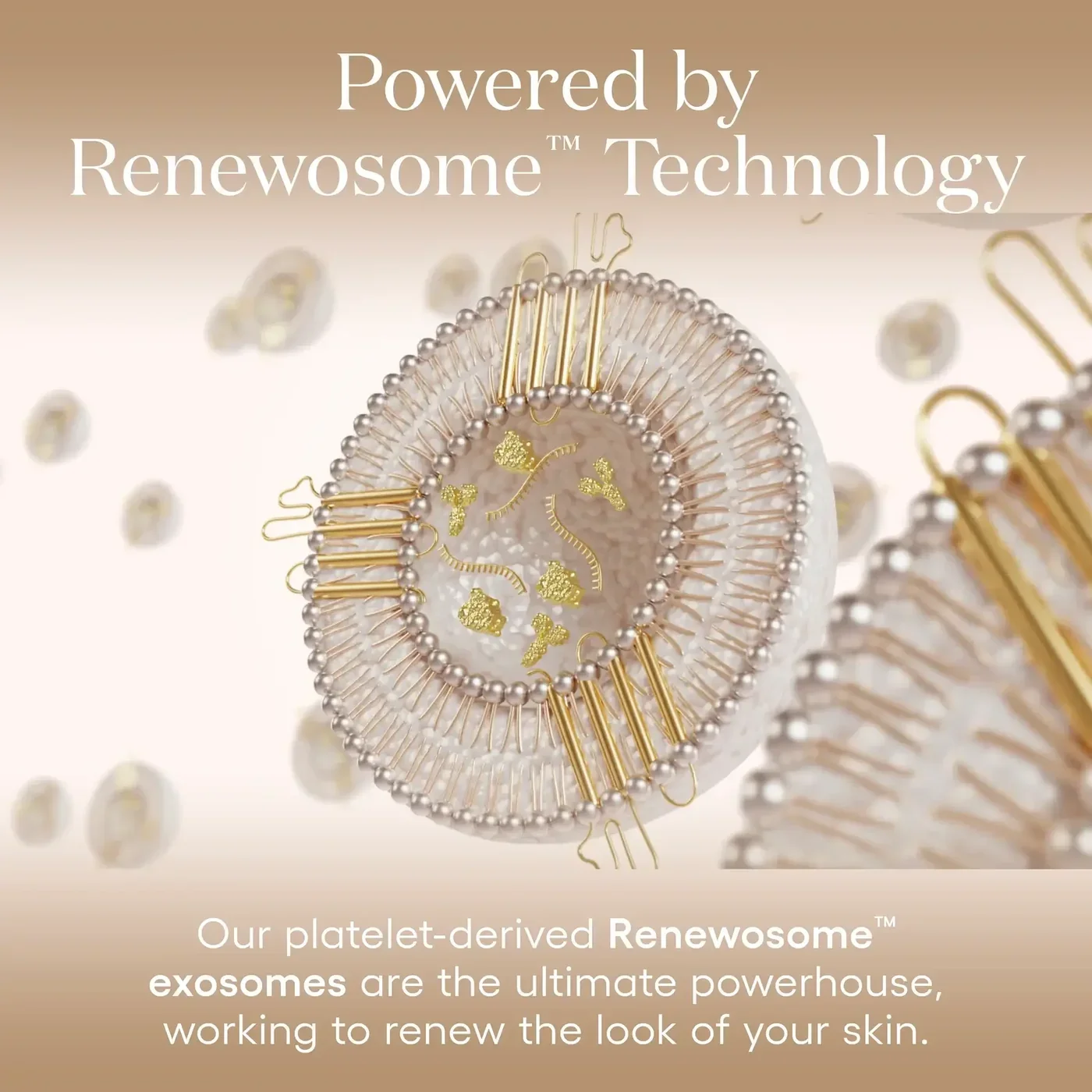 DAILY-Exosome-Serum-Refill-4.webp