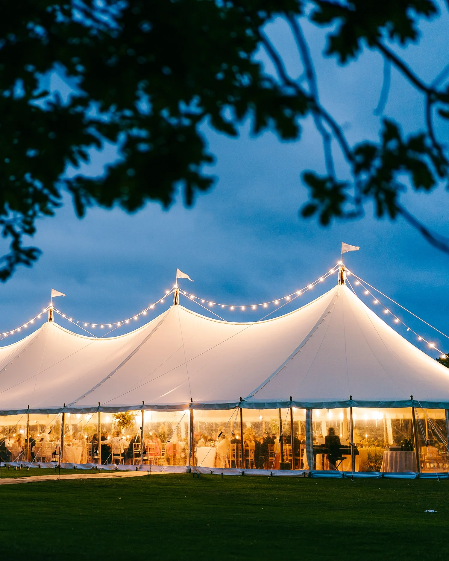 marquee-holkham-night-1500.webp
