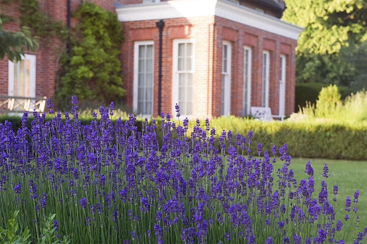 Intimate wedding venue, Swanton Morley House in Norfolk