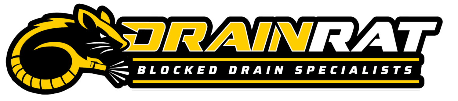 Drain Rat