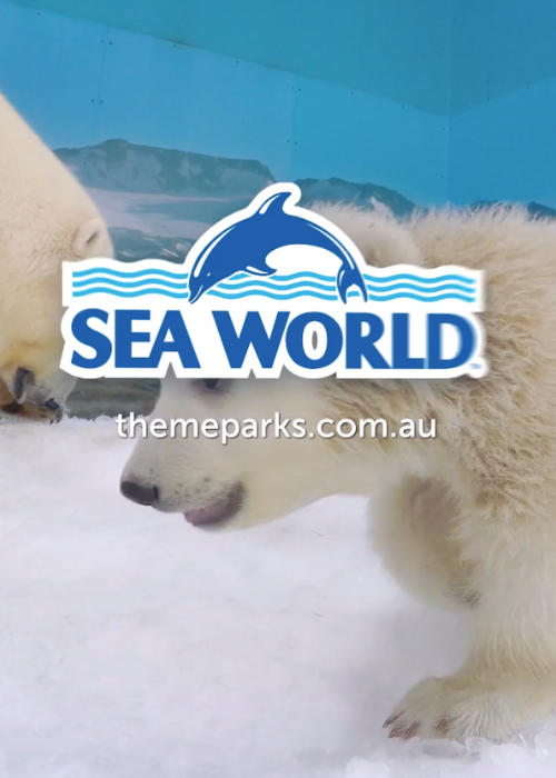 Sea World TVC