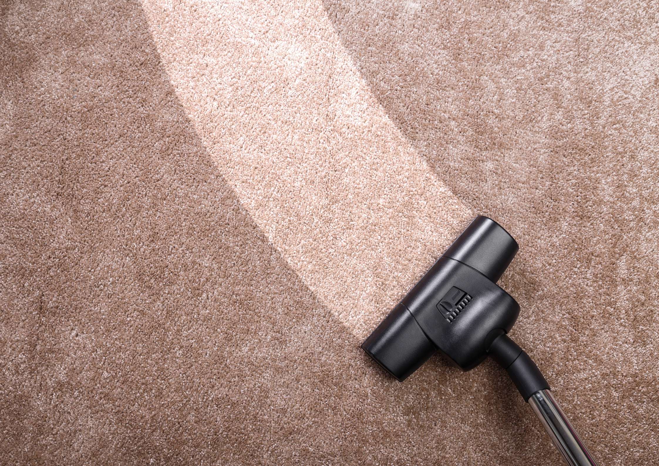 Black vacuum cleaner lying on a beige carpet with a shadow cast across it.