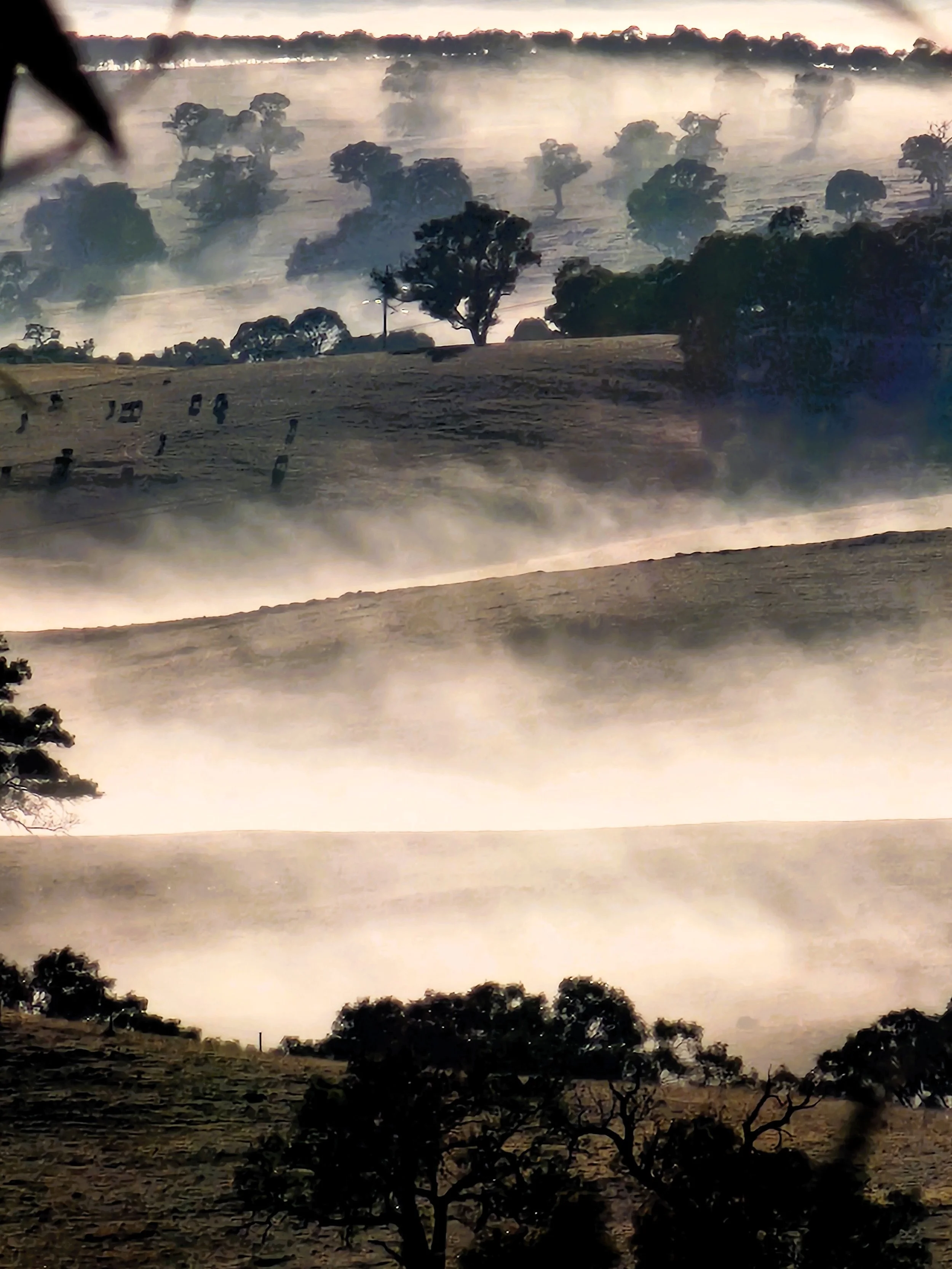 A landscape photo showing a rural area with trees and open fields, possibly during sunset or sunrise with a misty atmosphere.