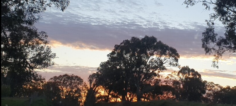 Sunset sky over trees with clouds and warm orange glow.