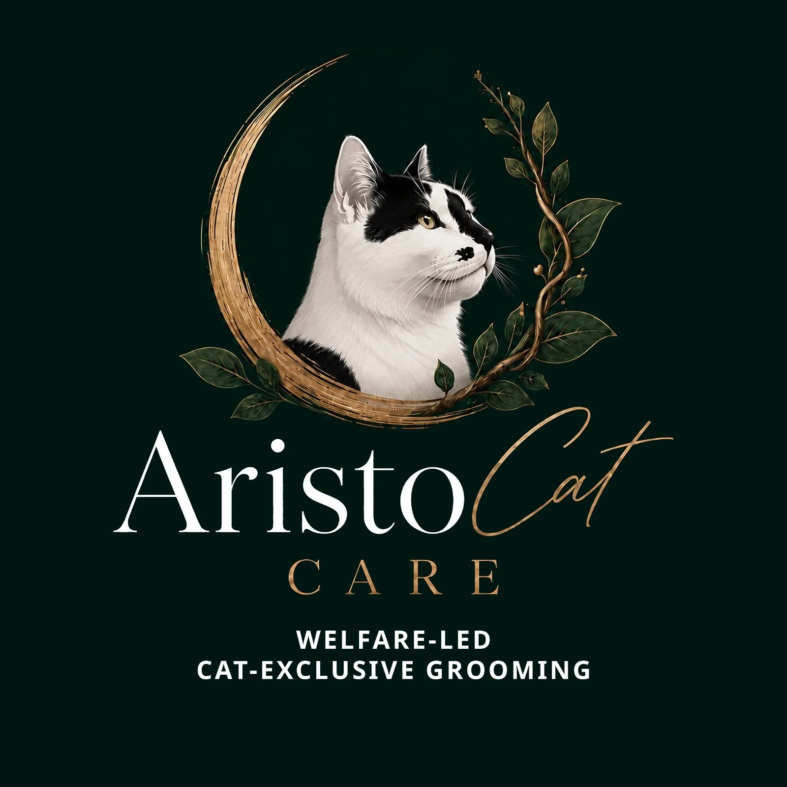 A logo featuring a black and white cat with golden eyes, surrounded by a crescent moon and leafy branches, with the text 'Aristo Cat Care' and information about welfare-led, cat-exclusive grooming services.