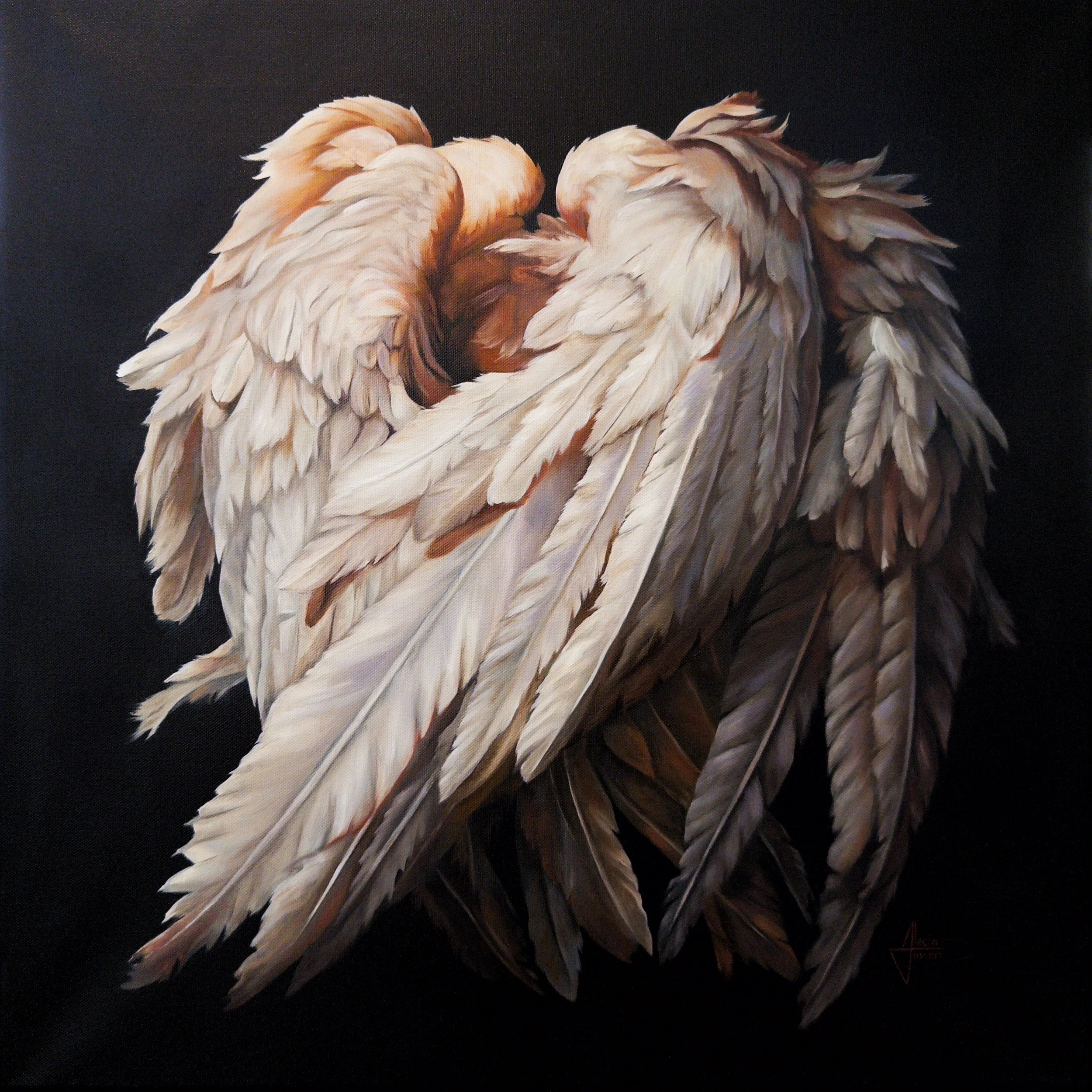 Wings Collection