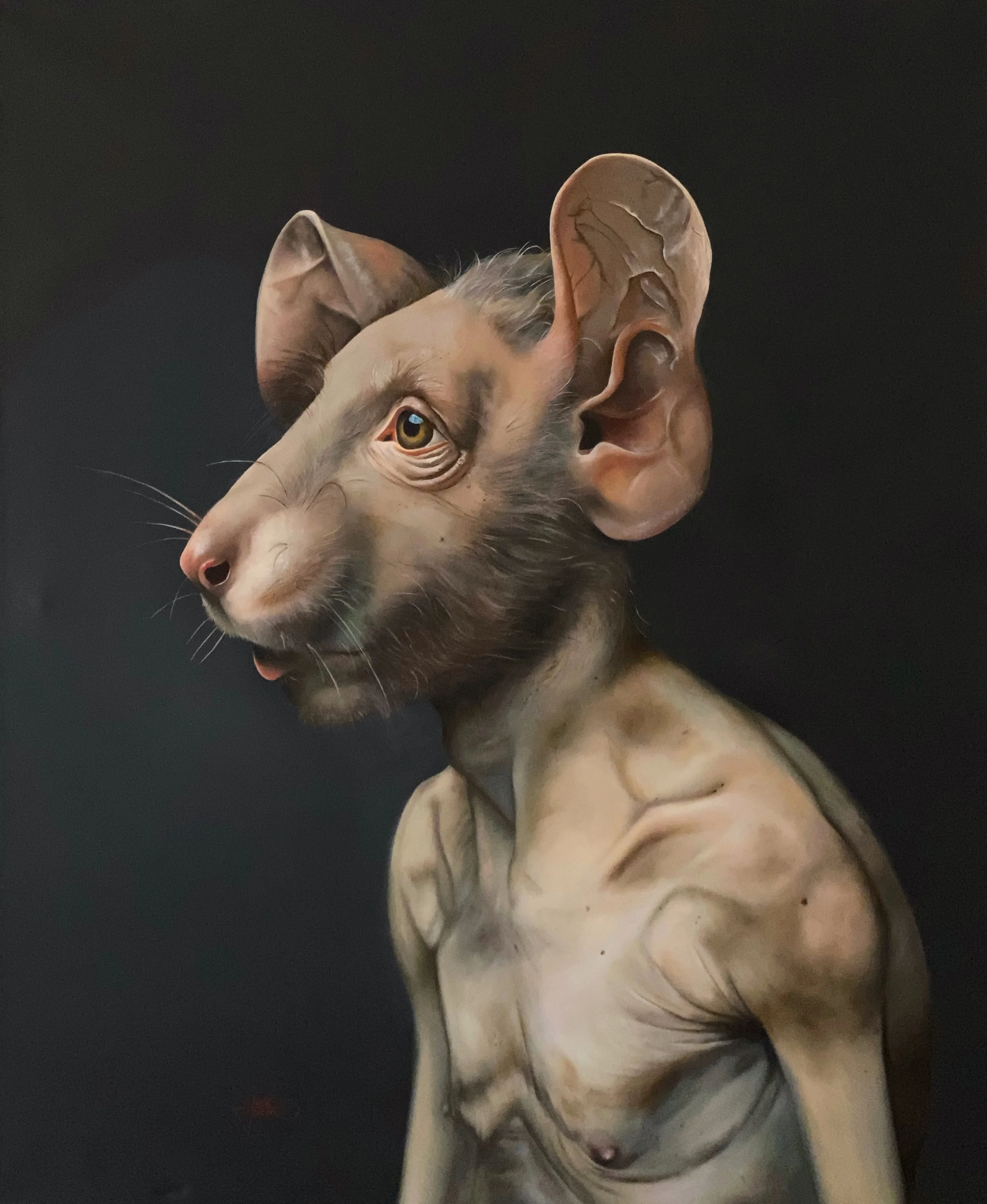 Knaag
