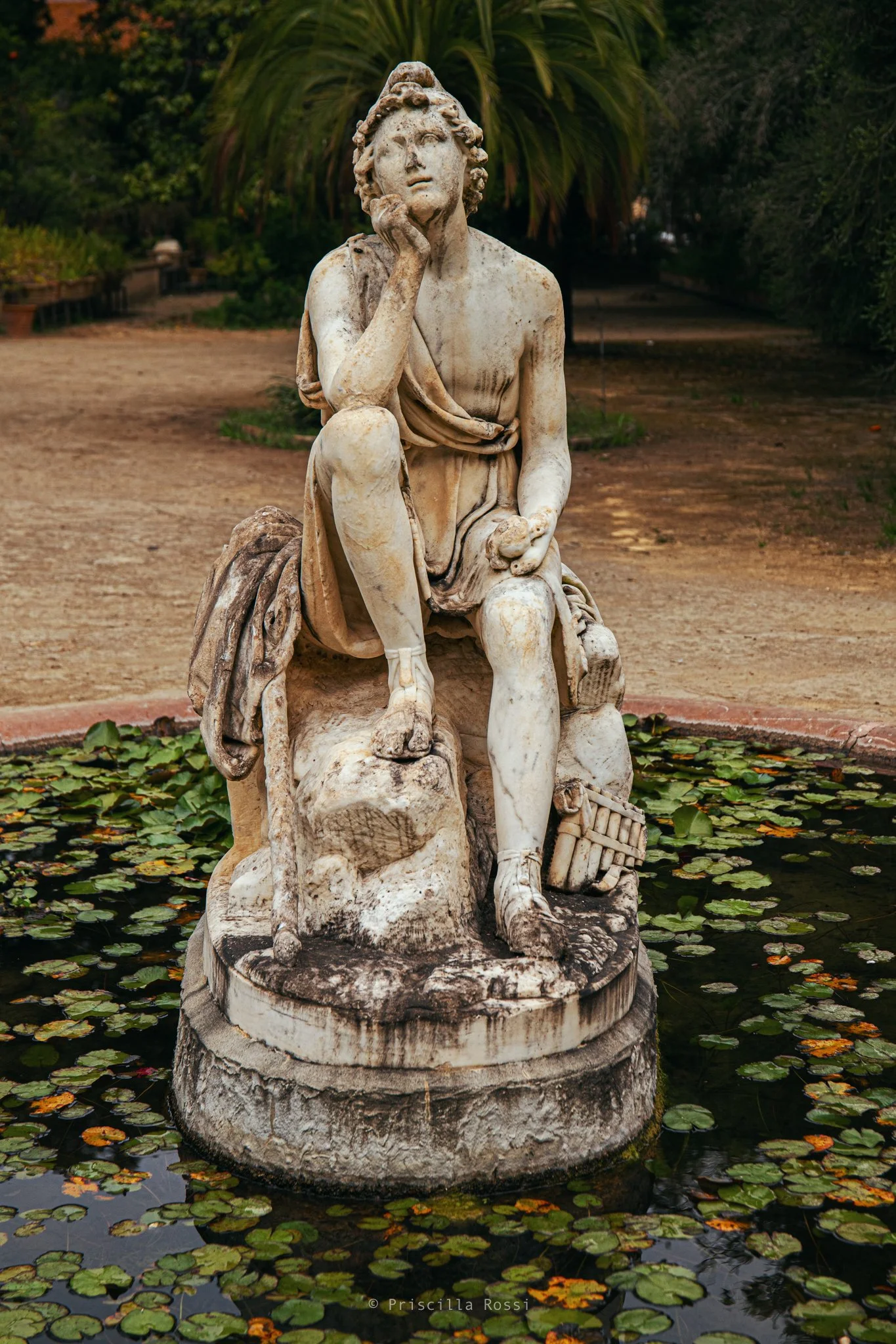 Giardino botanico, Palermo
