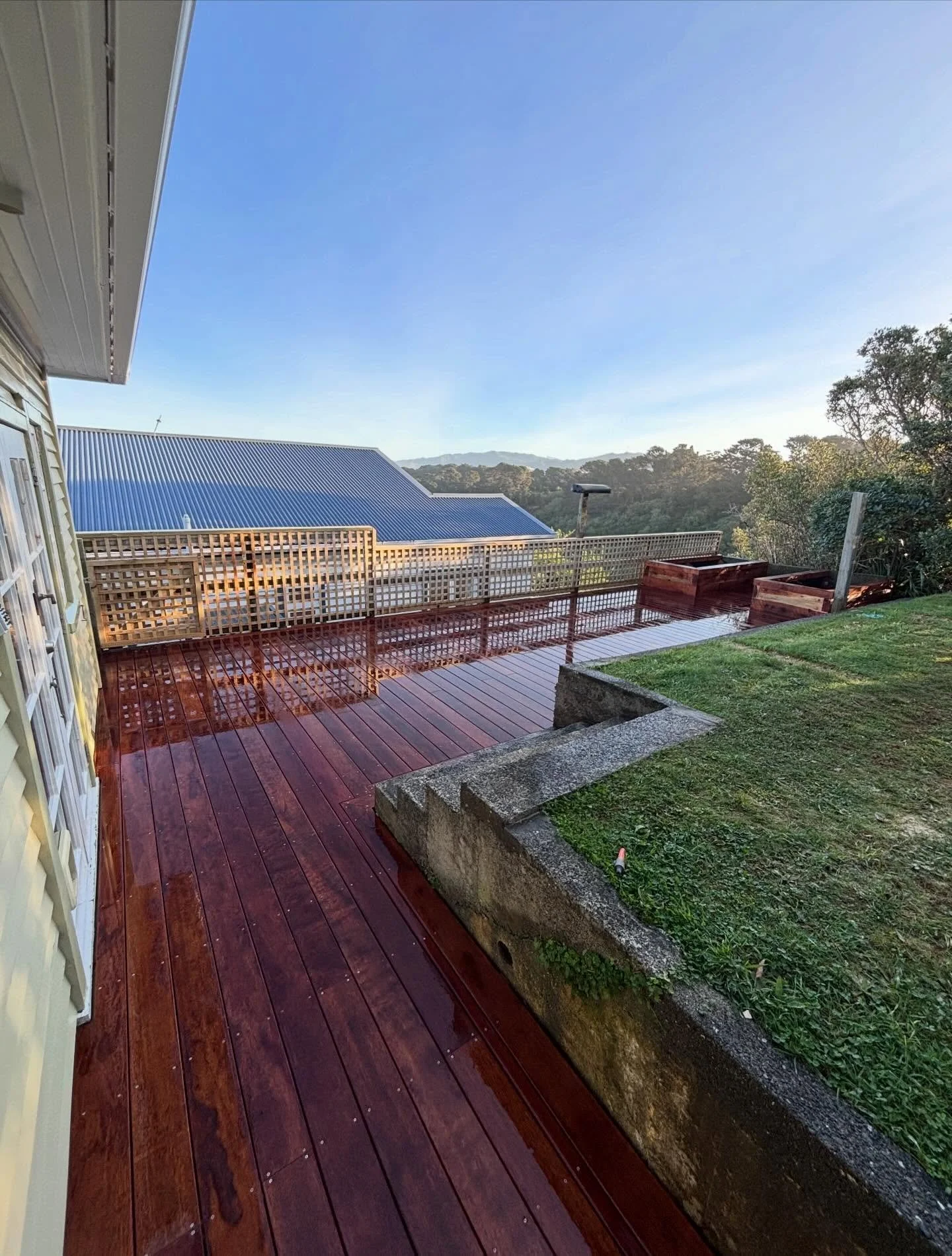 DBS Deck Stain Services Wellington.jpg